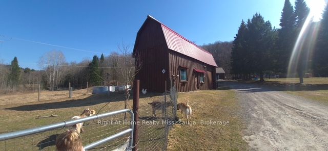 411A Peggs Mountain Road SE, Ryerson, ON P0A 1C0 photo 5