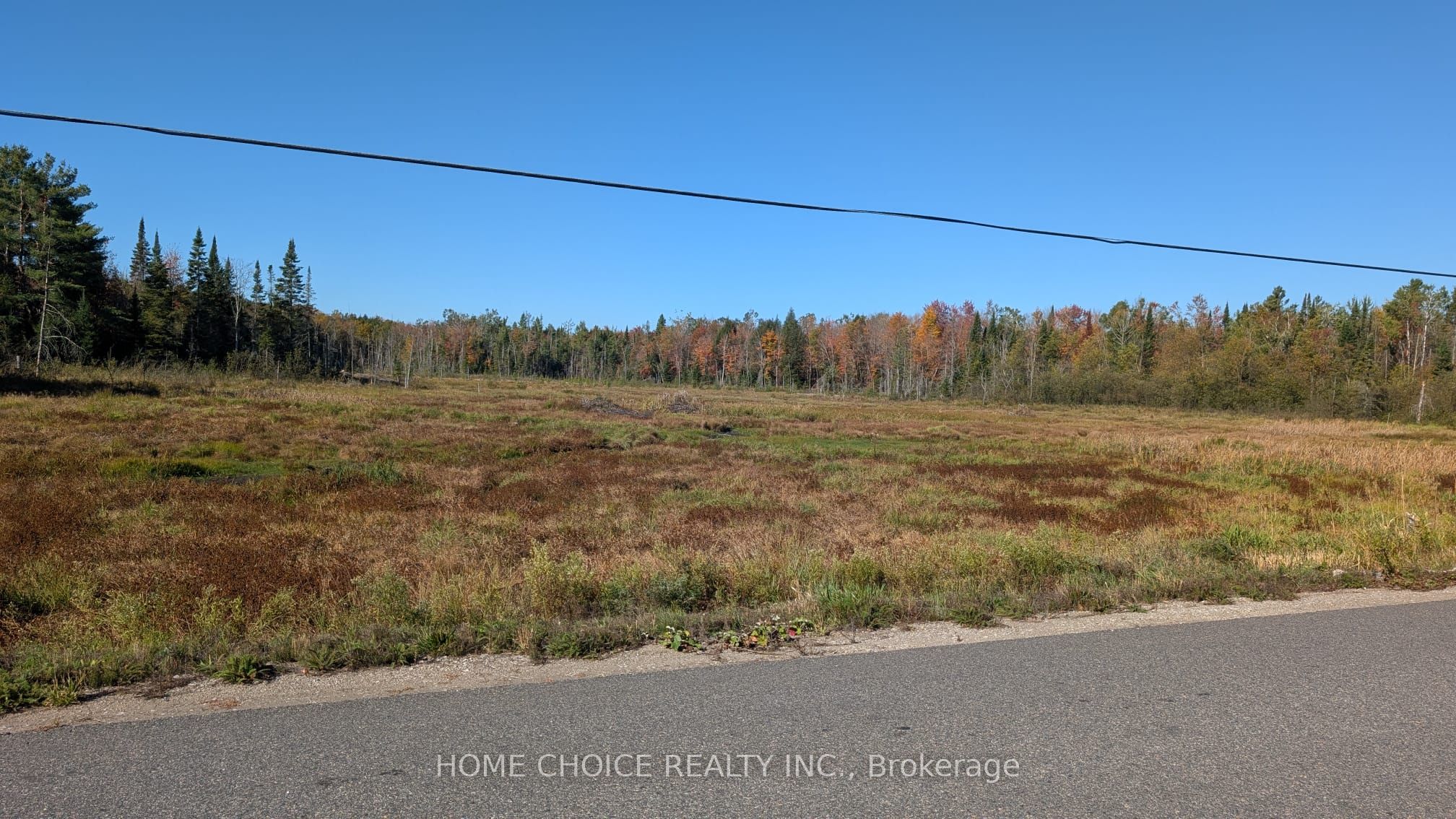 1172 Barkway Road, Gravenhurst, ON P1P 1R3 photo 2