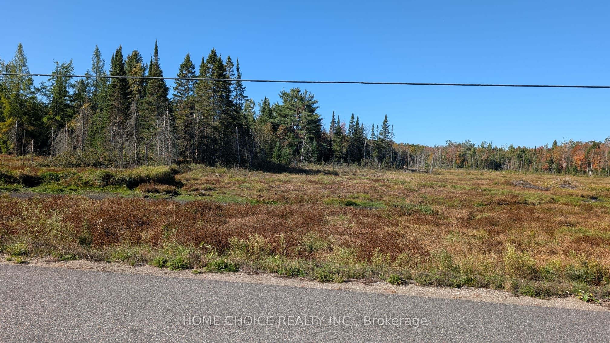1172 Barkway Road, Gravenhurst, ON P1P 1R3 photo 3