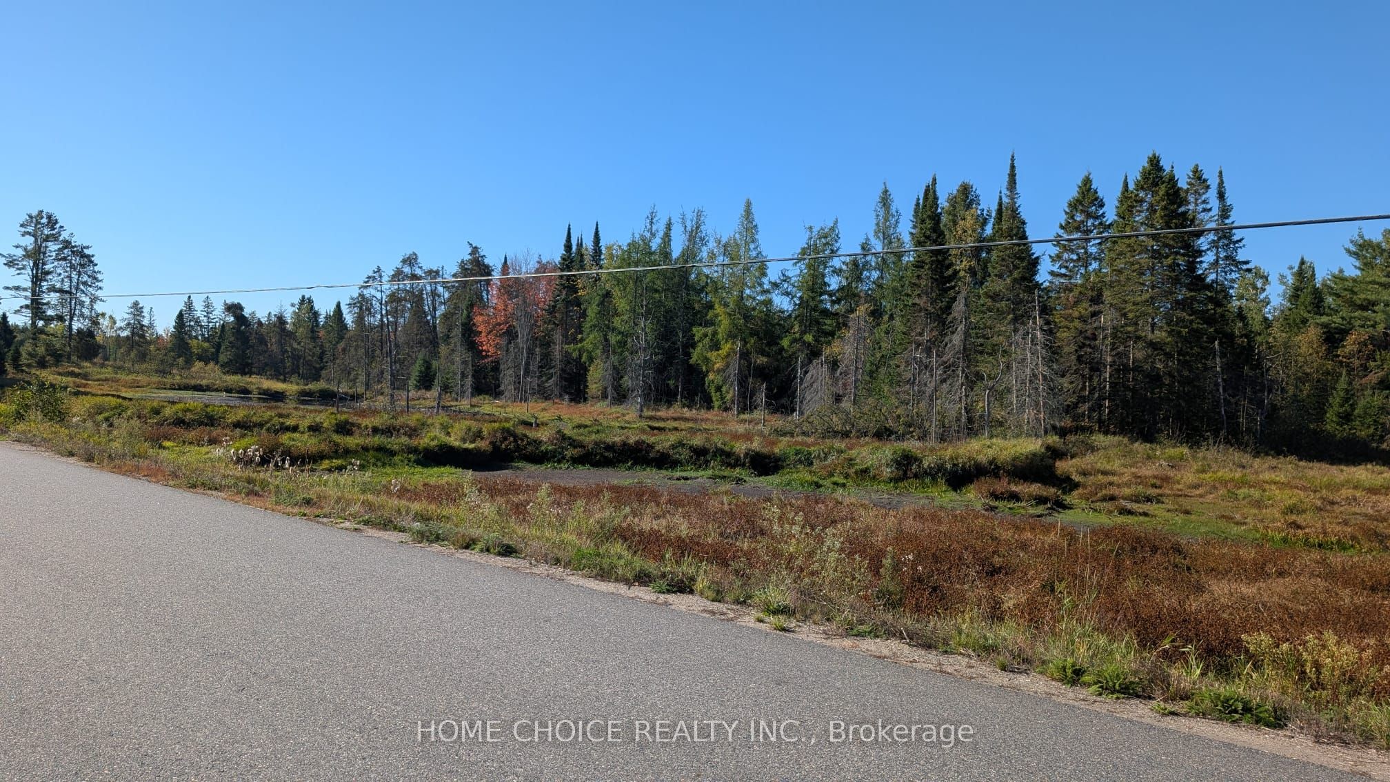 1172 Barkway Road, Gravenhurst, ON P1P 1R3 photo 4