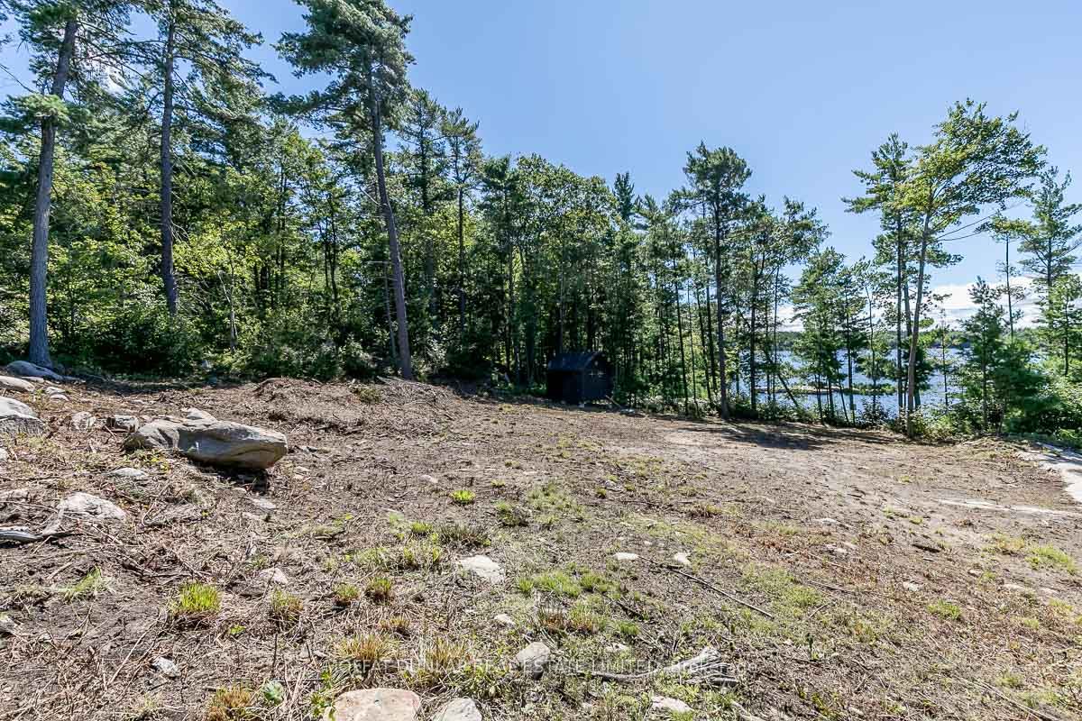 32 Webber Island, Georgian Bay, ON P0E 1E0 photo 4