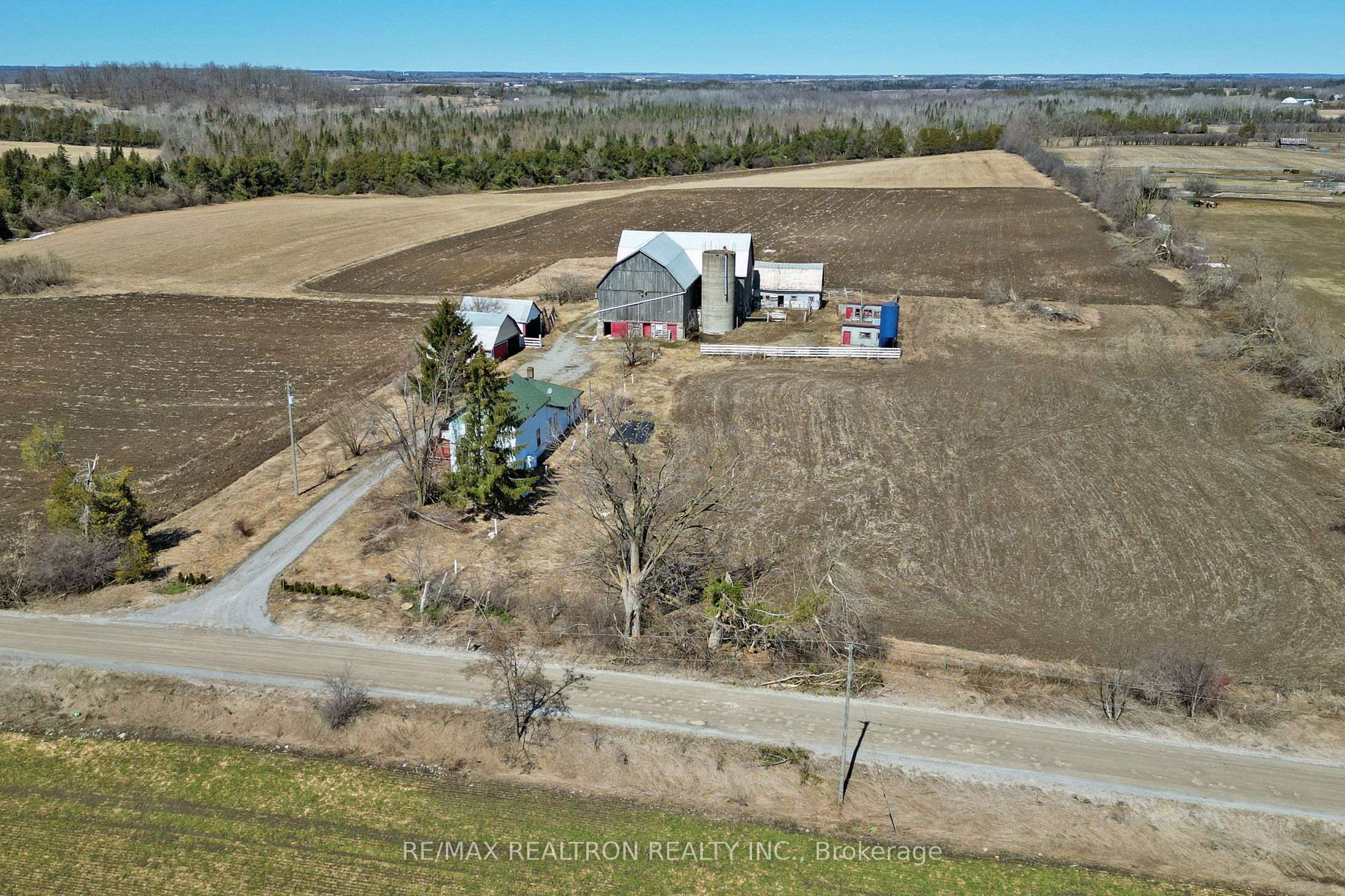 81 Fox Road, Kawartha Lakes, ON K0L 2W0 photo 4