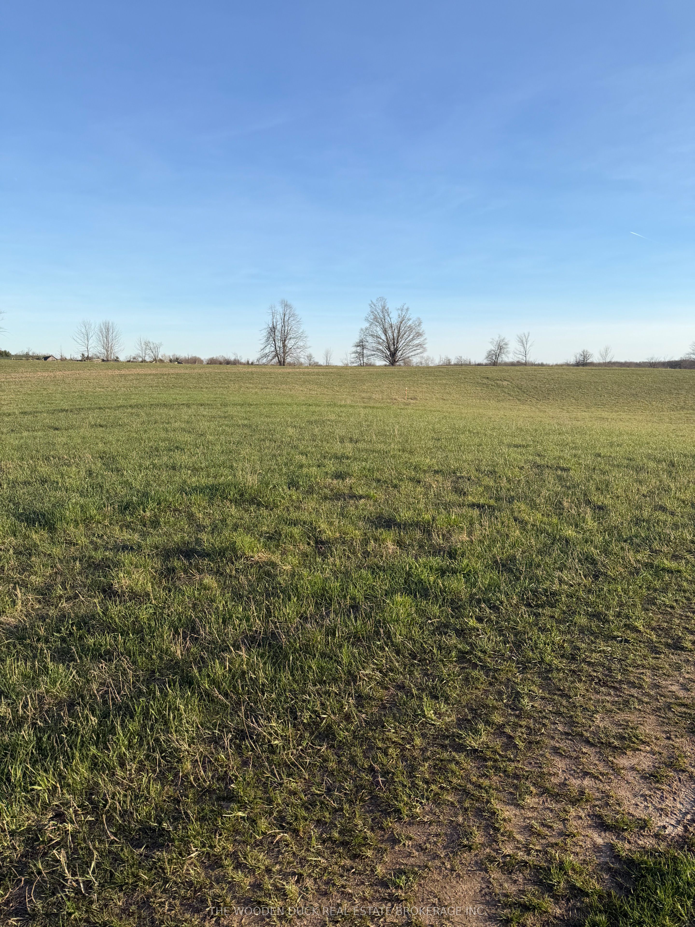 0 Cooper Road, Madoc, ON K0K 2K0 photo 3