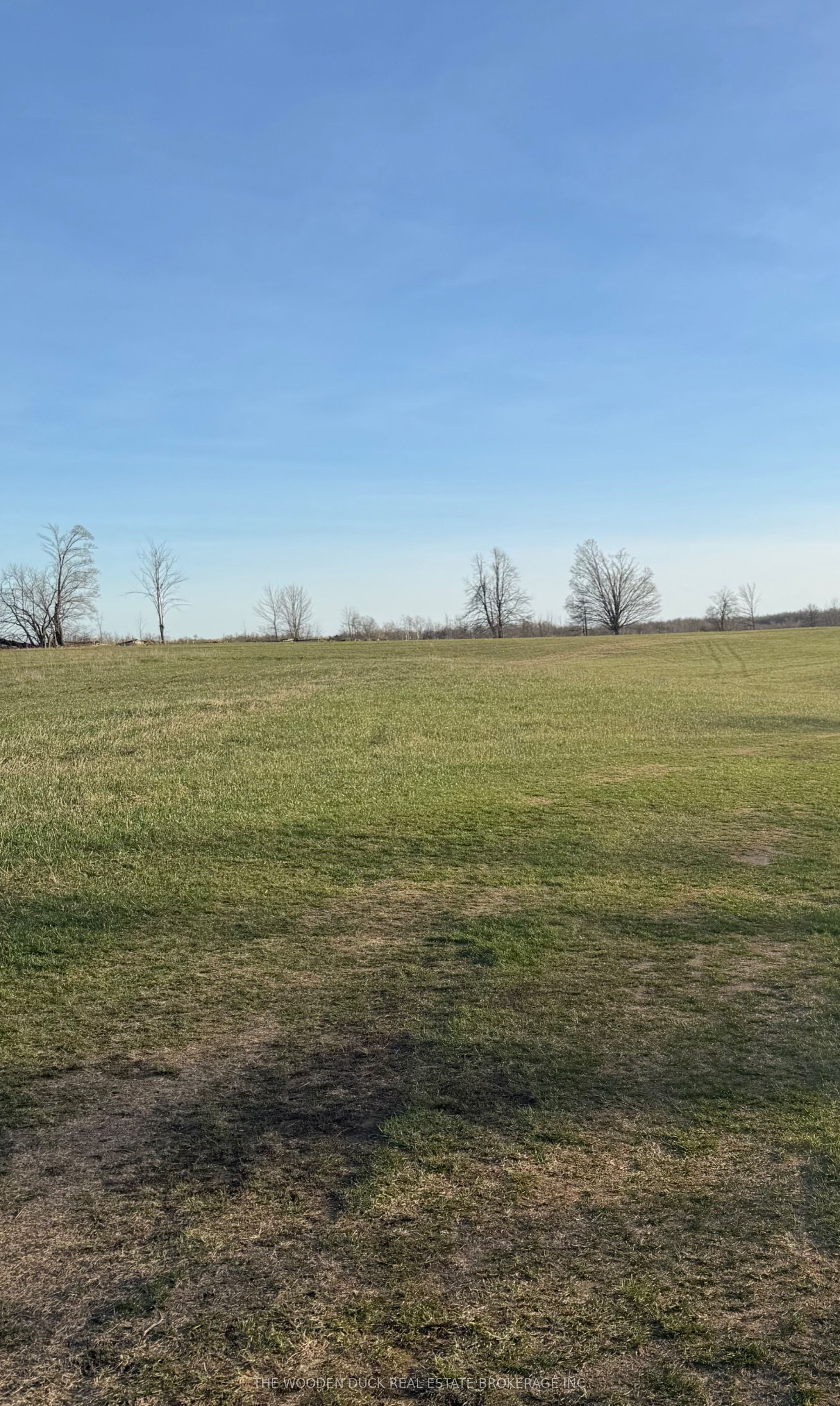 0 Cooper Road, Madoc, ON K0K 2K0 photo 4