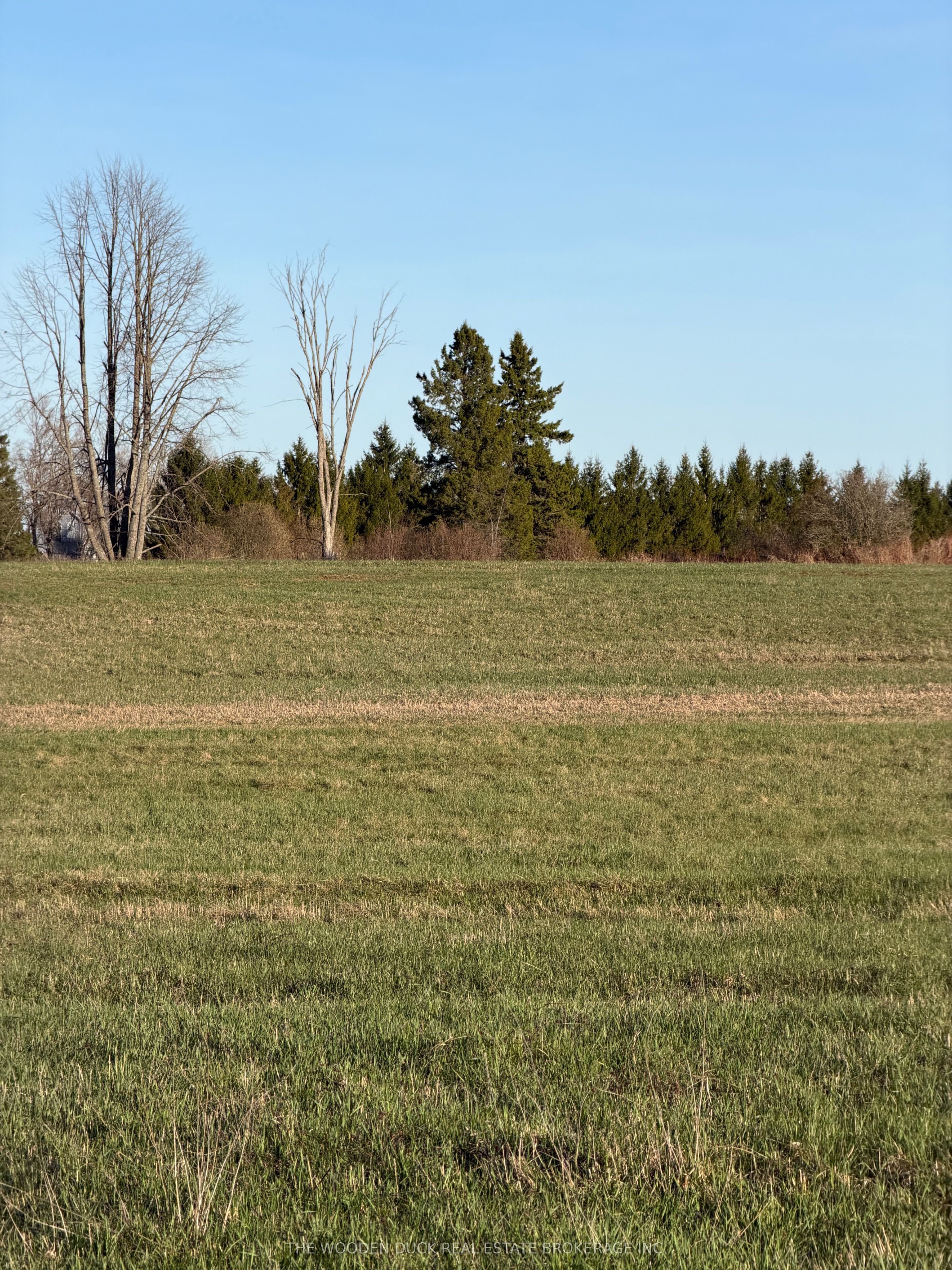 0 Cooper Road, Madoc, ON K0K 2K0 photo 5