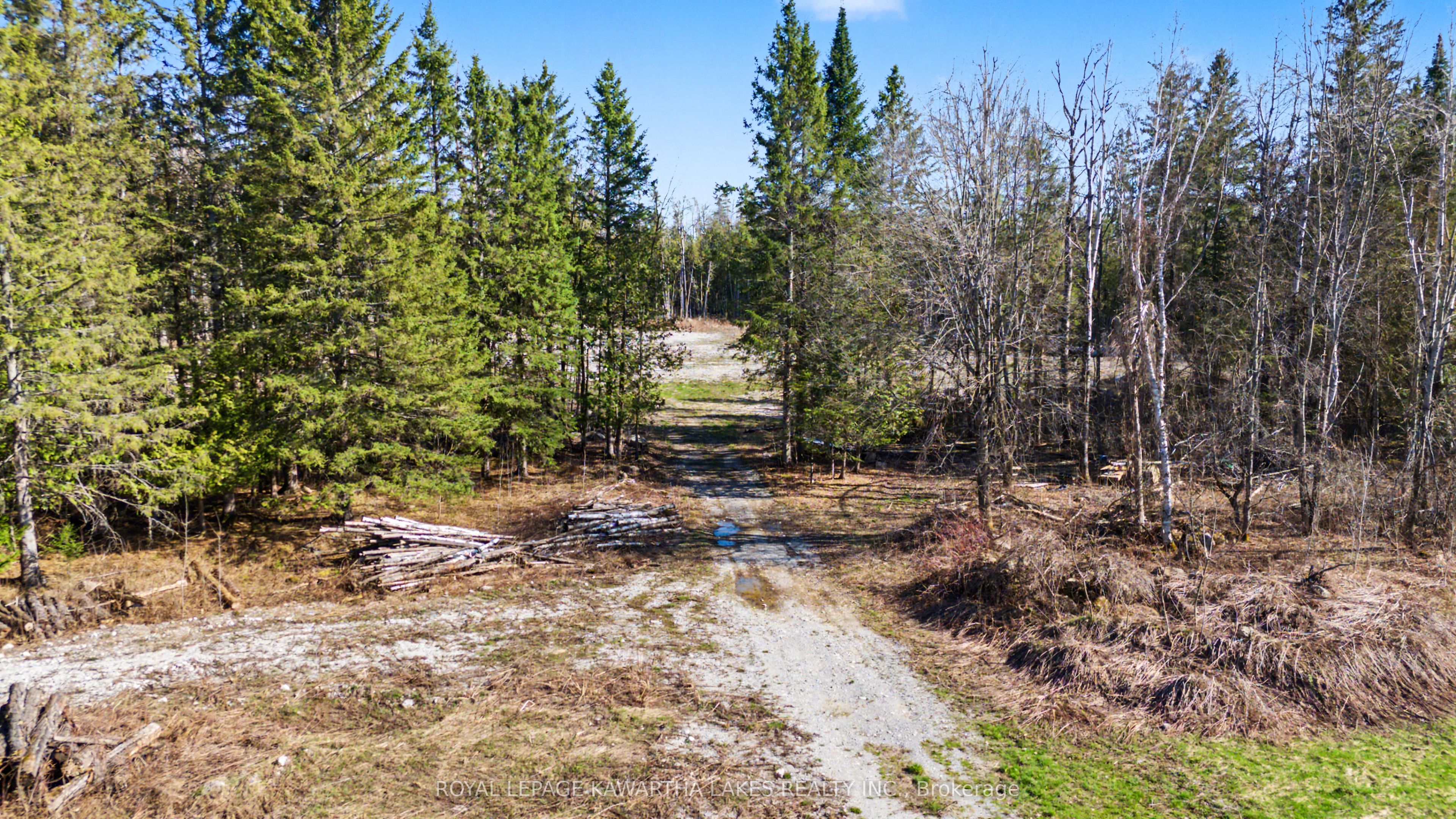 6369 Highway 35, Kawartha Lakes, ON K0M 1K0