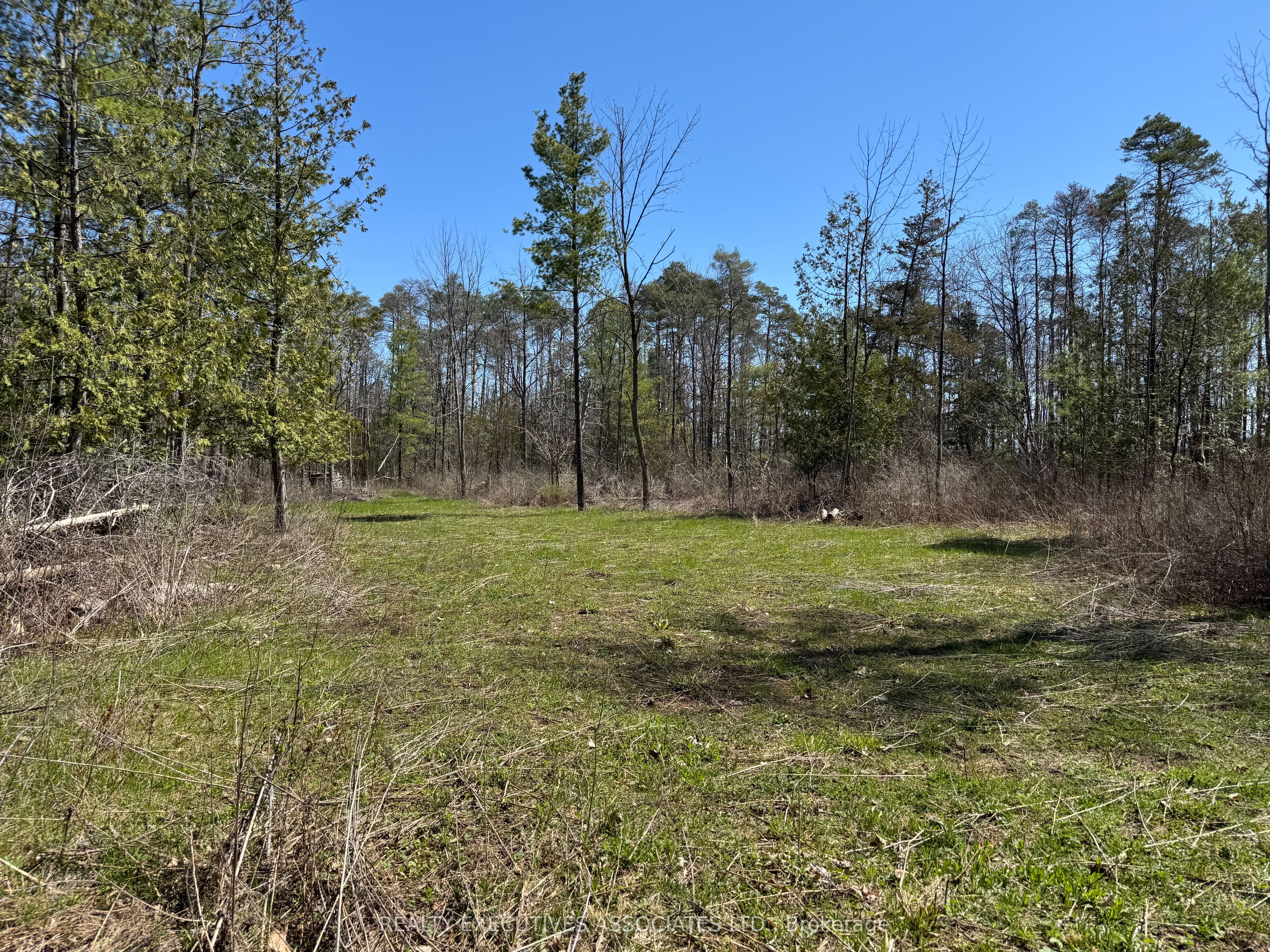 6192 County Rd 50, Trent Hills, ON K0L 1L0 photo 2