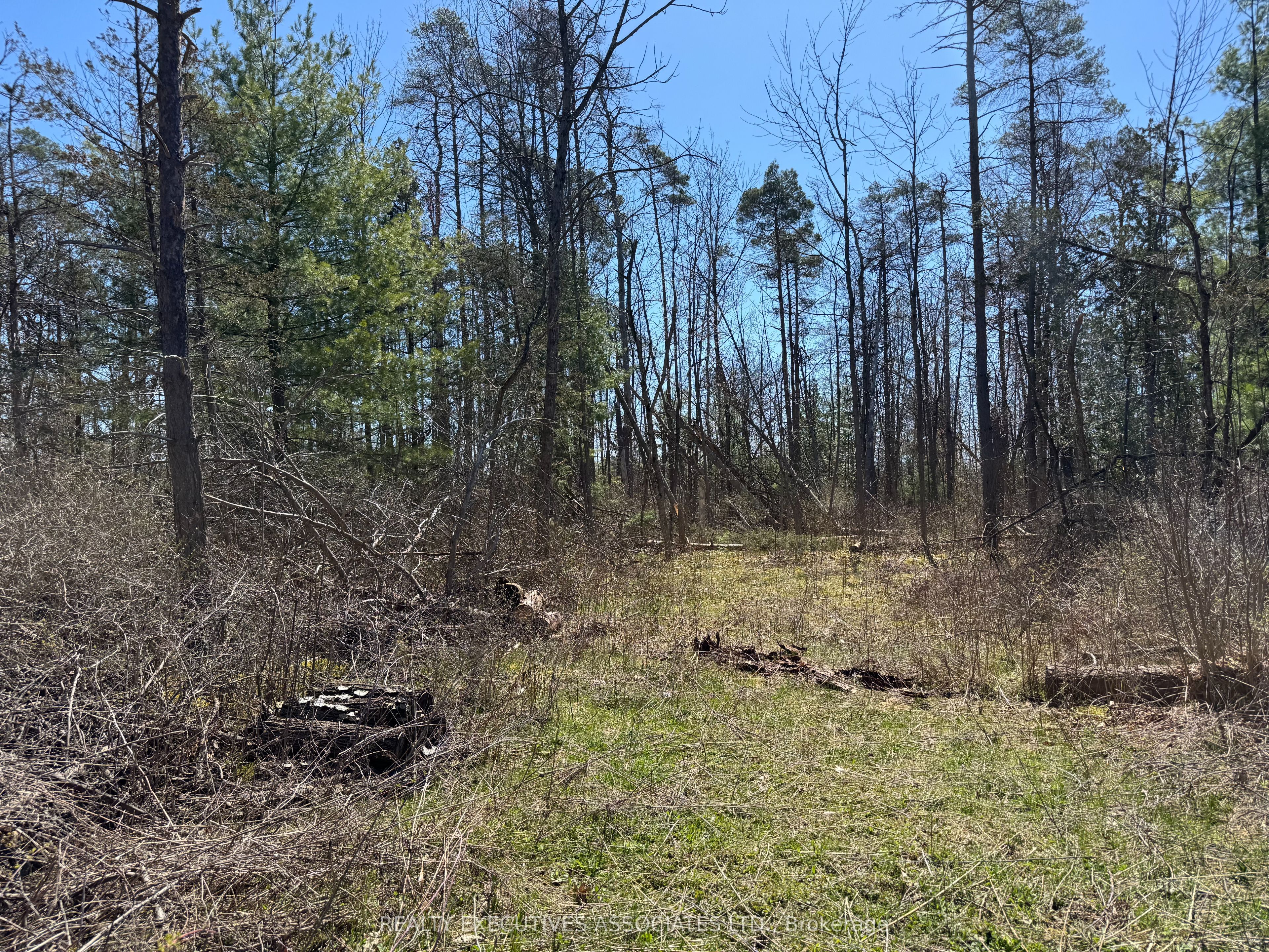 6192 County Rd 50, Trent Hills, ON K0L 1L0 photo 3