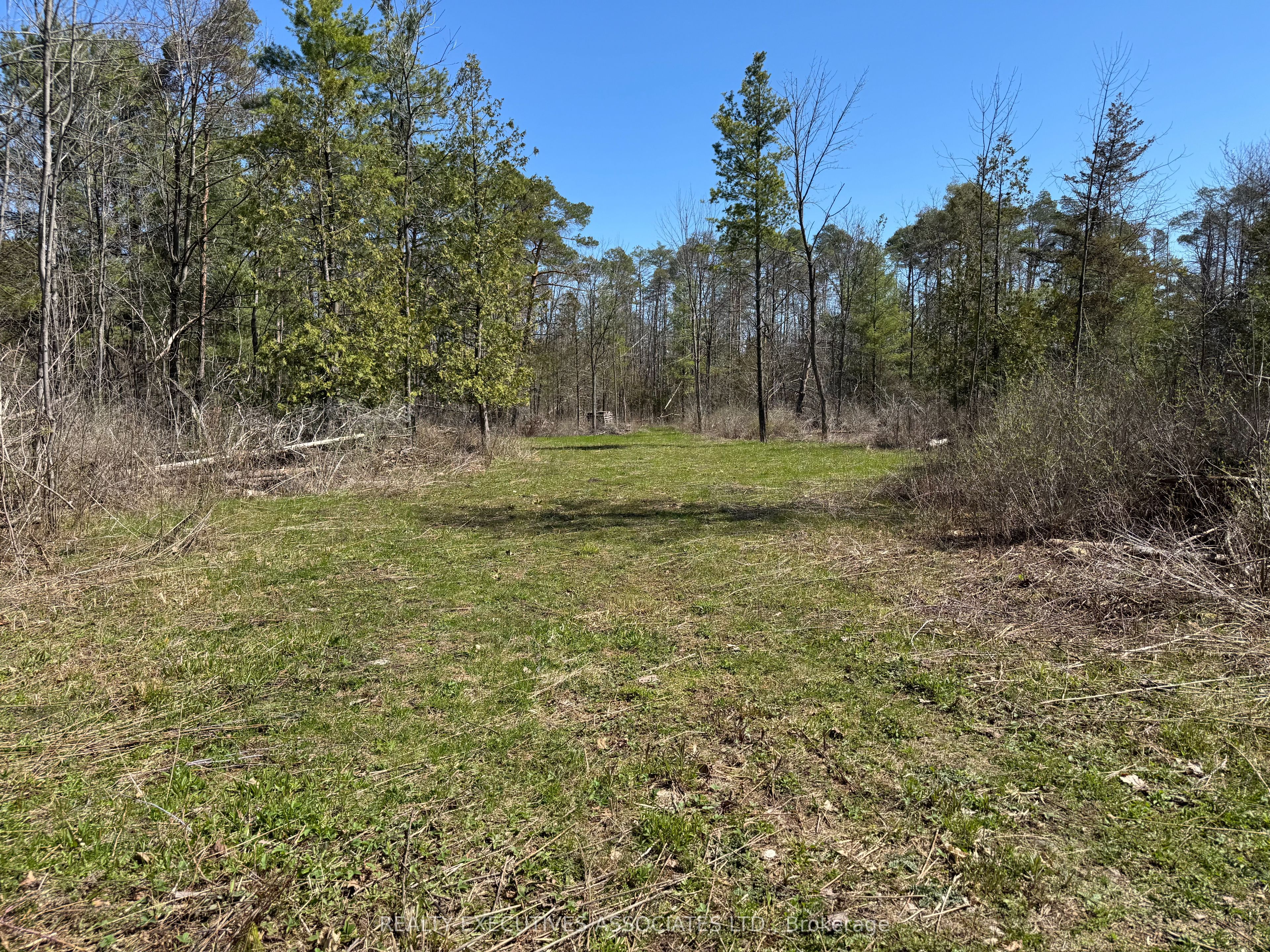 6192 County Rd 50, Trent Hills, ON K0L 1L0 photo 4