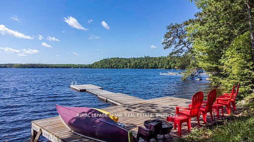 119 Fire Route 242 N/A, Trent Lakes, ON K0L 1J0 photo 3
