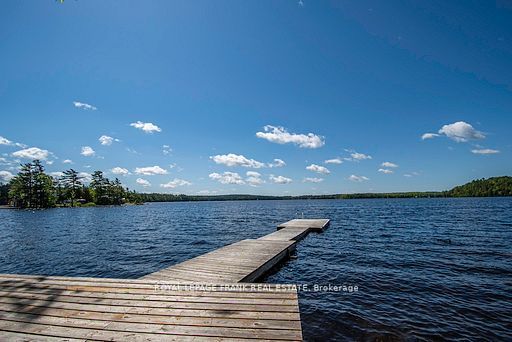 119 Fire Route 242 N/A, Trent Lakes, ON K0L 1J0 photo 4