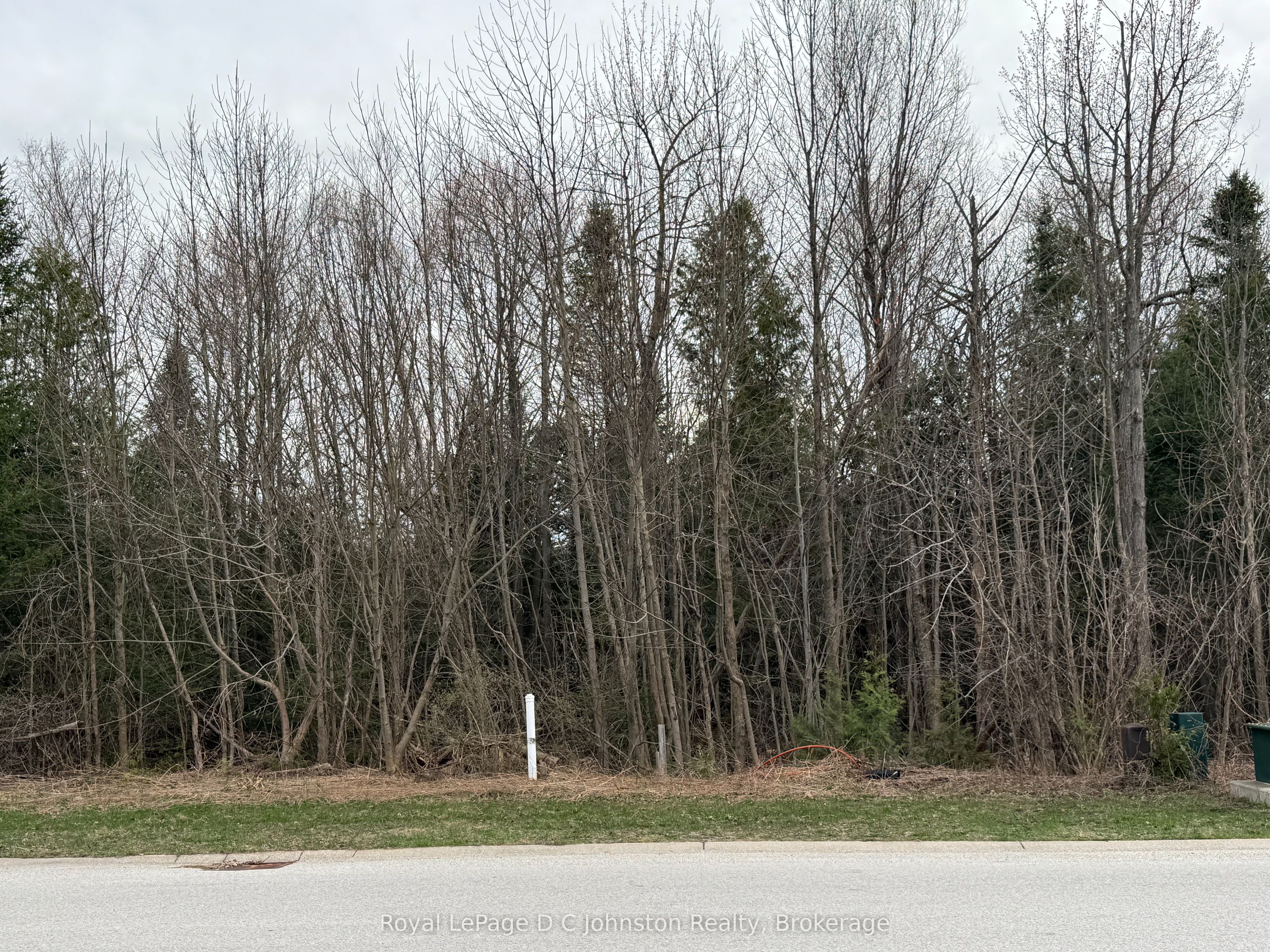 0 Emerald Drive, Saugeen Shores, ON N0H 2L0 photo 5