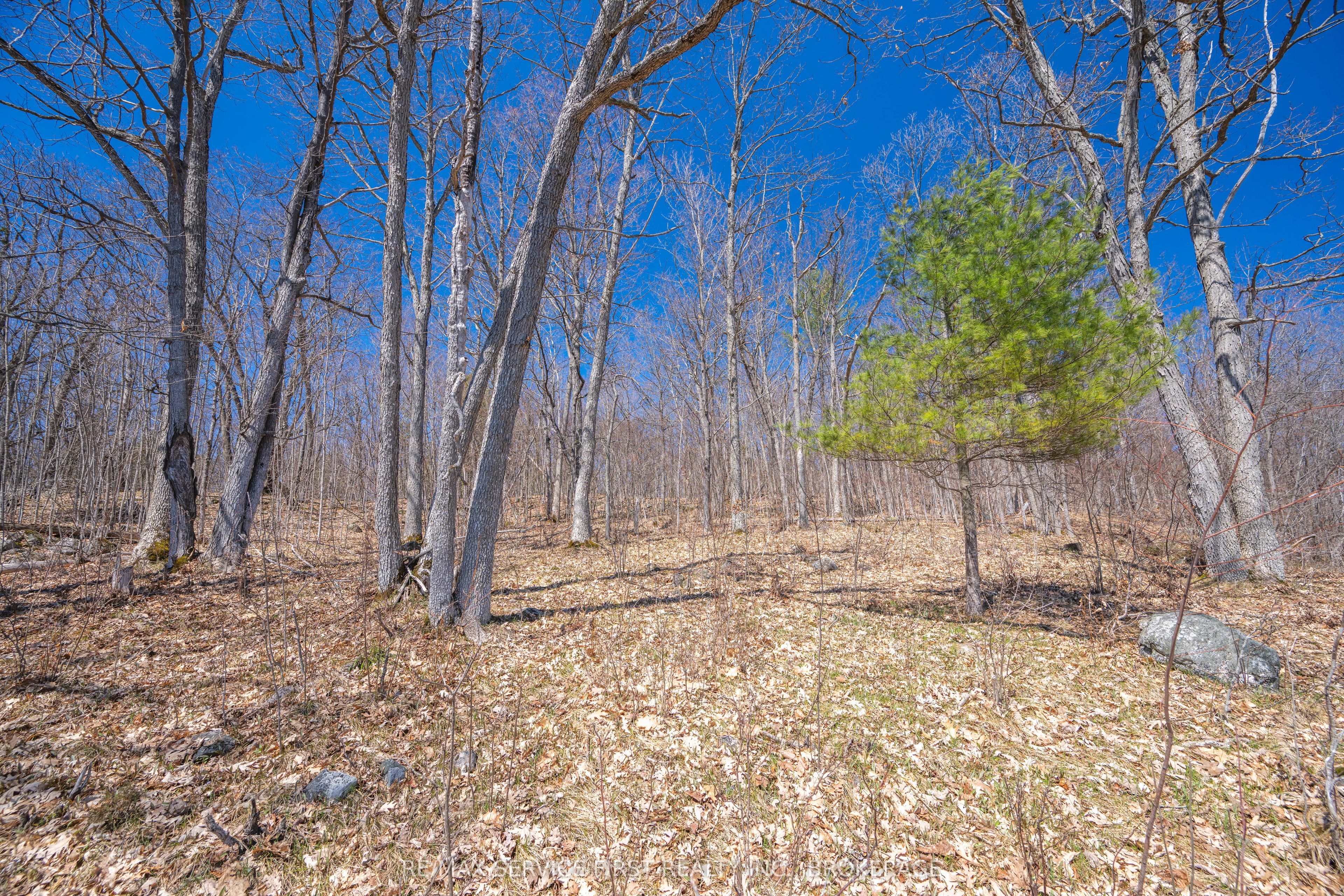 149 Richmond Point Lane, Stone Mills, ON K0K 2A0 photo 5
