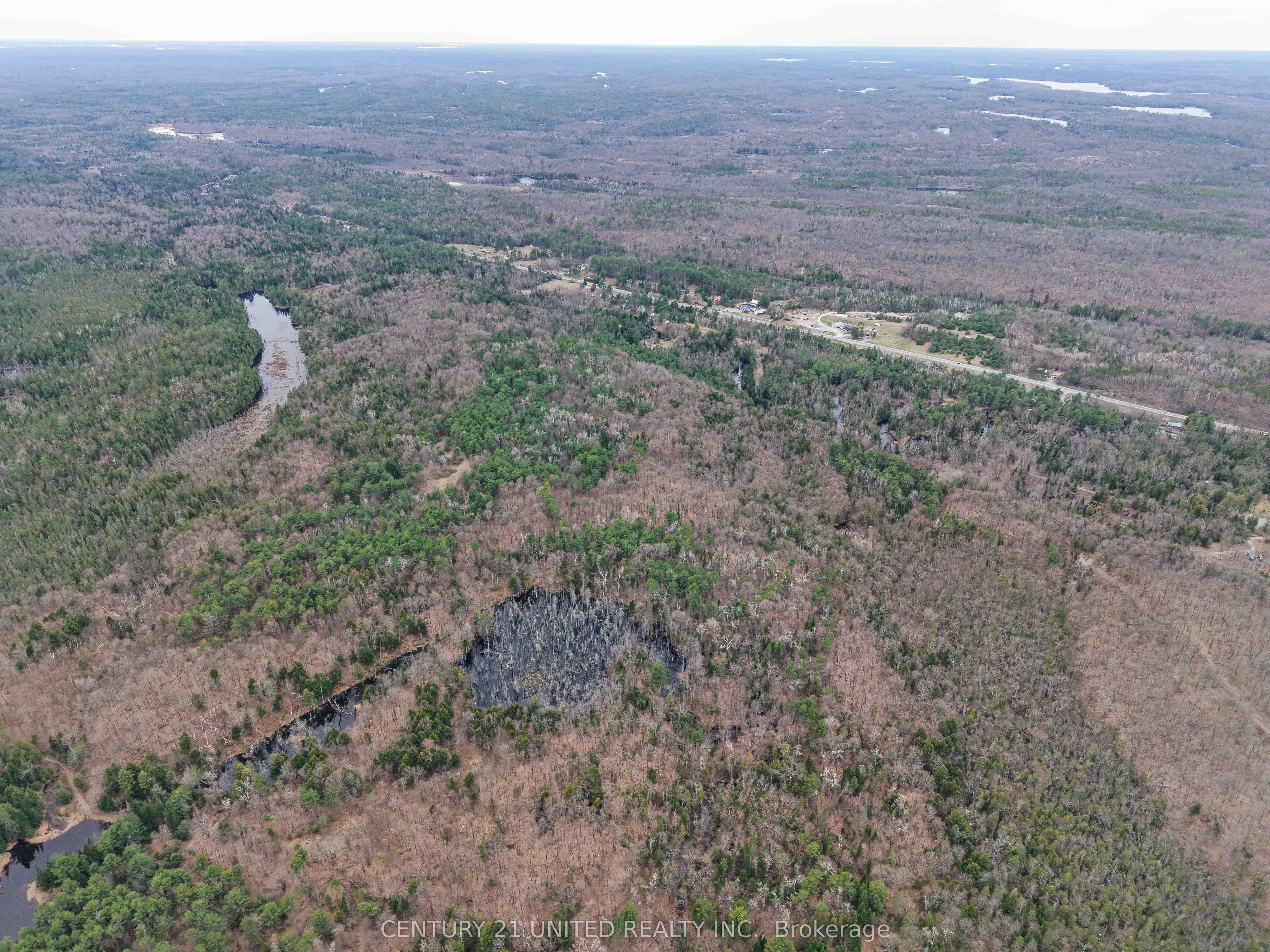 9559 Hwy 28, North Kawartha, ON K0L 1A0 photo 4