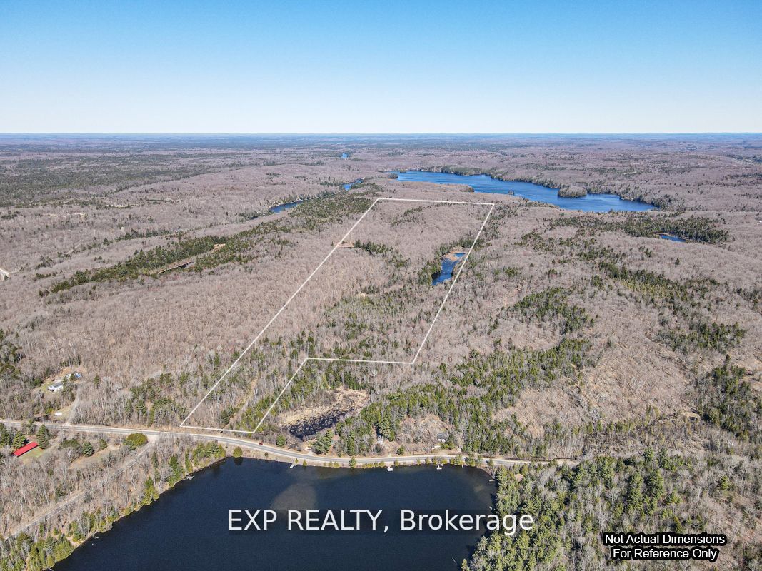 3349 Deep Bay Road, Minden Hills, ON K0M 2K0 photo 3
