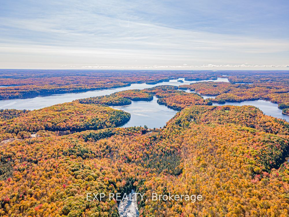3349 Deep Bay Road, Minden Hills, ON K0M 2K0 photo 4