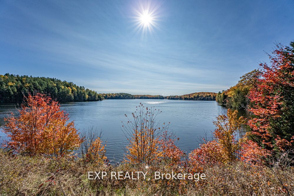 3349 Deep Bay Road, Minden Hills, ON K0M 2K0 photo 5