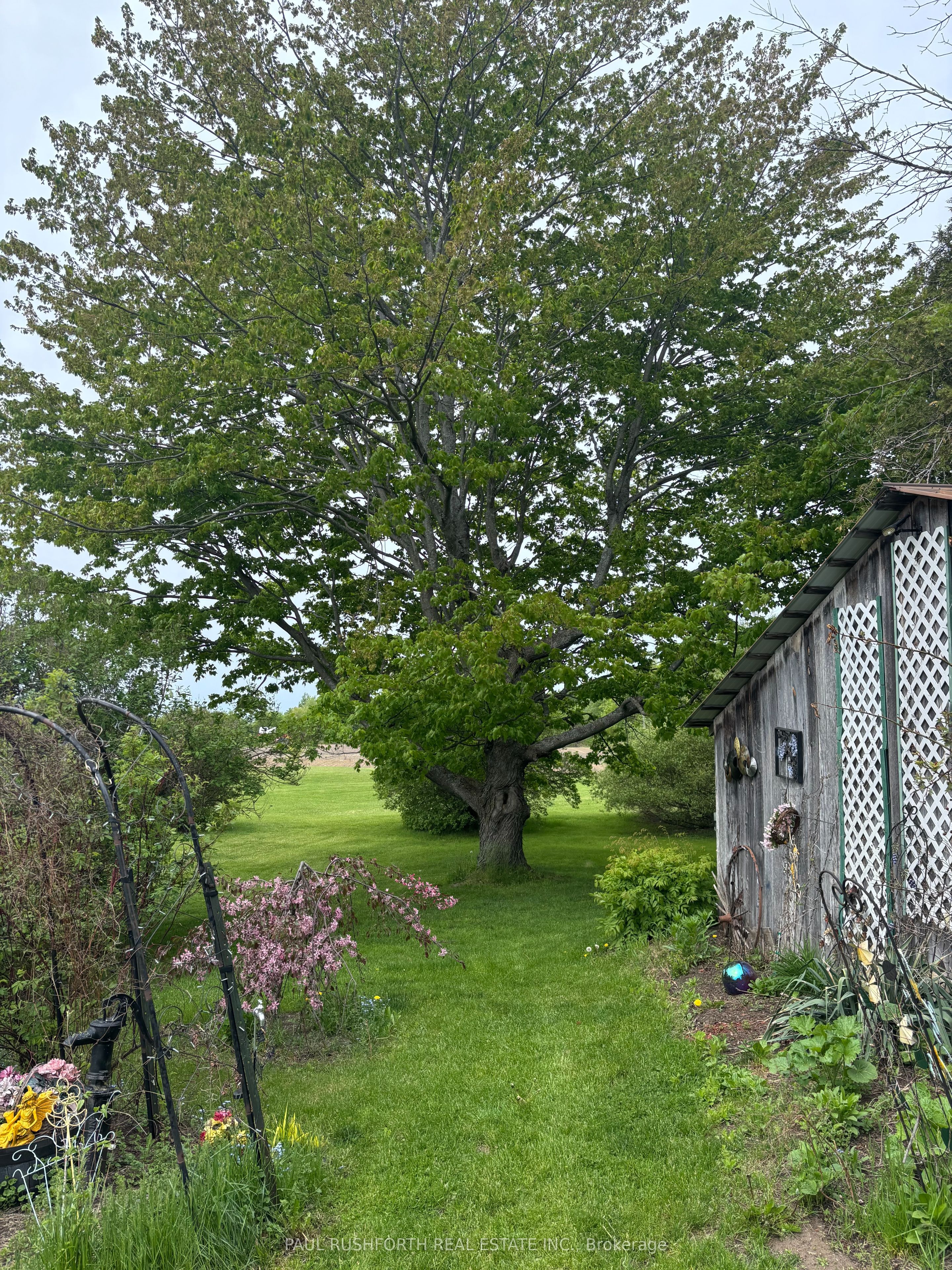 10476 RONSON Road, North Dundas, ON K0E 1S0 photo 5