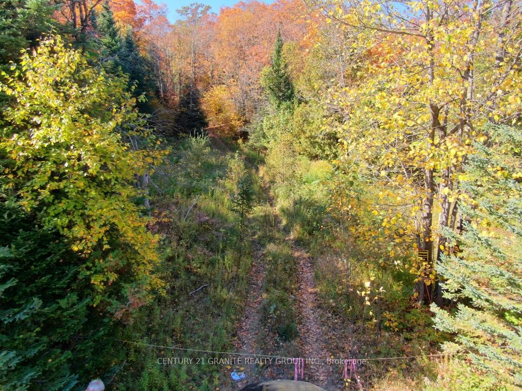 CON EHR PT LOT 25 M-25 LOT 4, Bancroft, ON K0L 1C0 photo 2