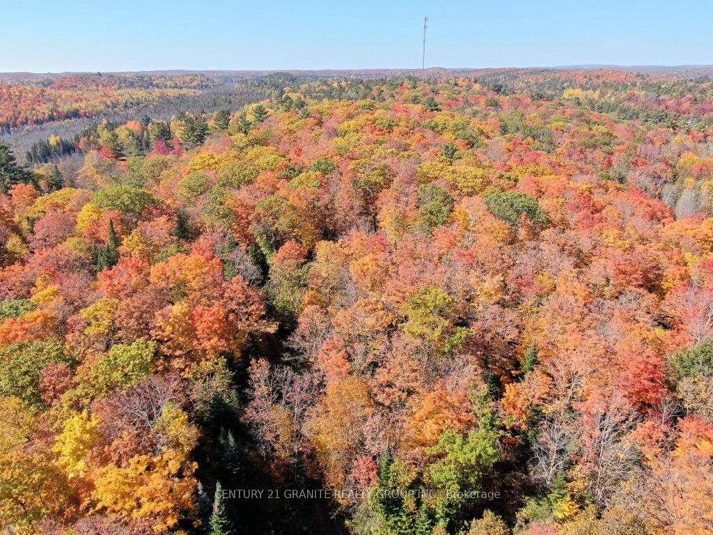 CON EHR PT LOT 25 M-25 LOT 4, Bancroft, ON K0L 1C0 photo 3