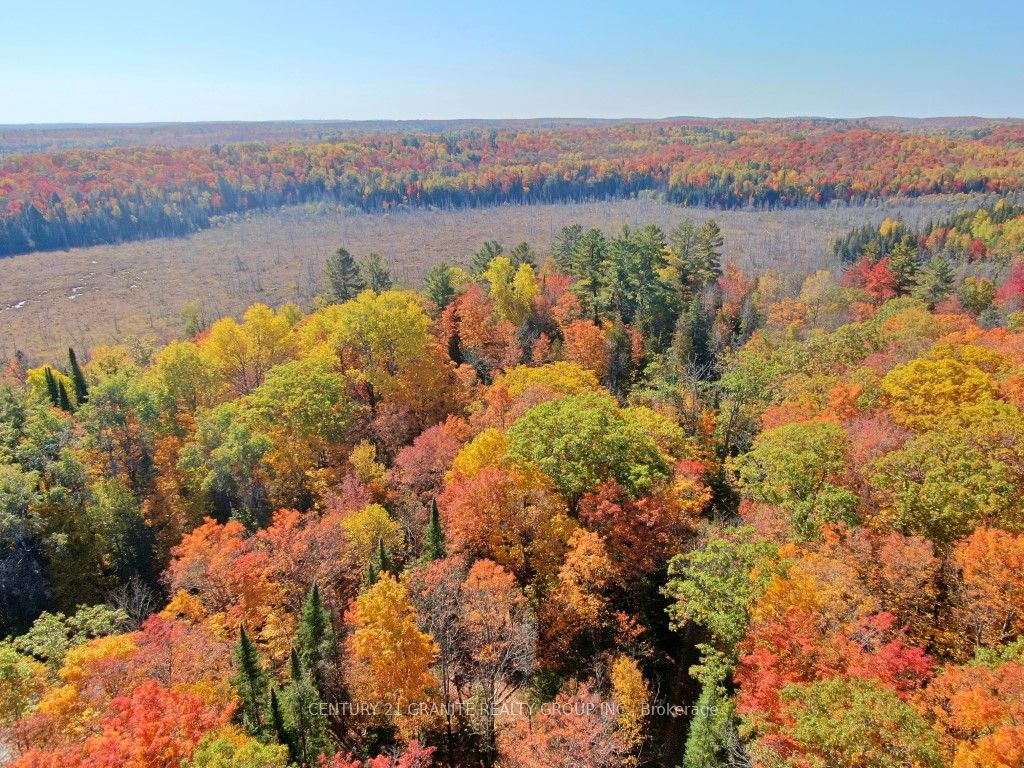 CON EHR PT LOT 25 M-25 LOT 4, Bancroft, ON K0L 1C0 photo 4