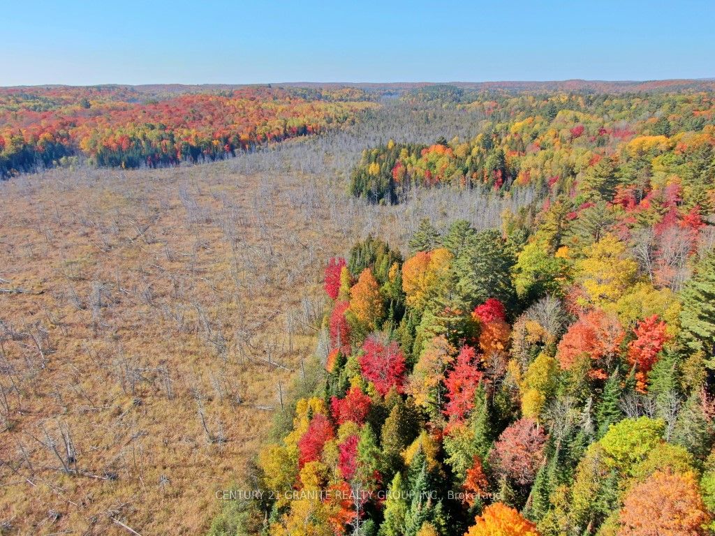 CON EHR PT LOT 25 M-25 LOT 4, Bancroft, ON K0L 1C0 photo 5