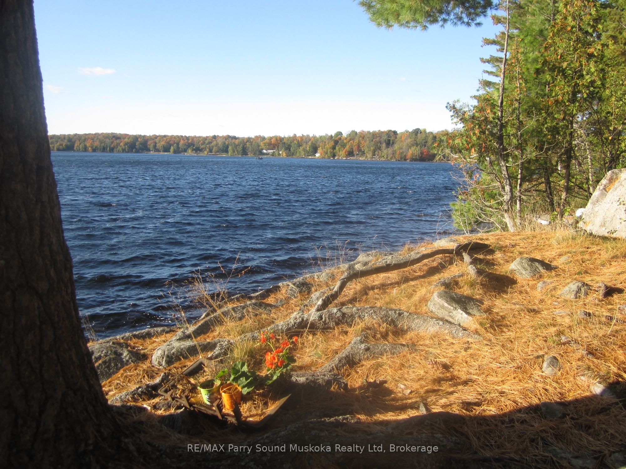 Part 2 42R21243 Edwards Island, Parry Sound Remote Area, ON P0H 1Y0 photo 2