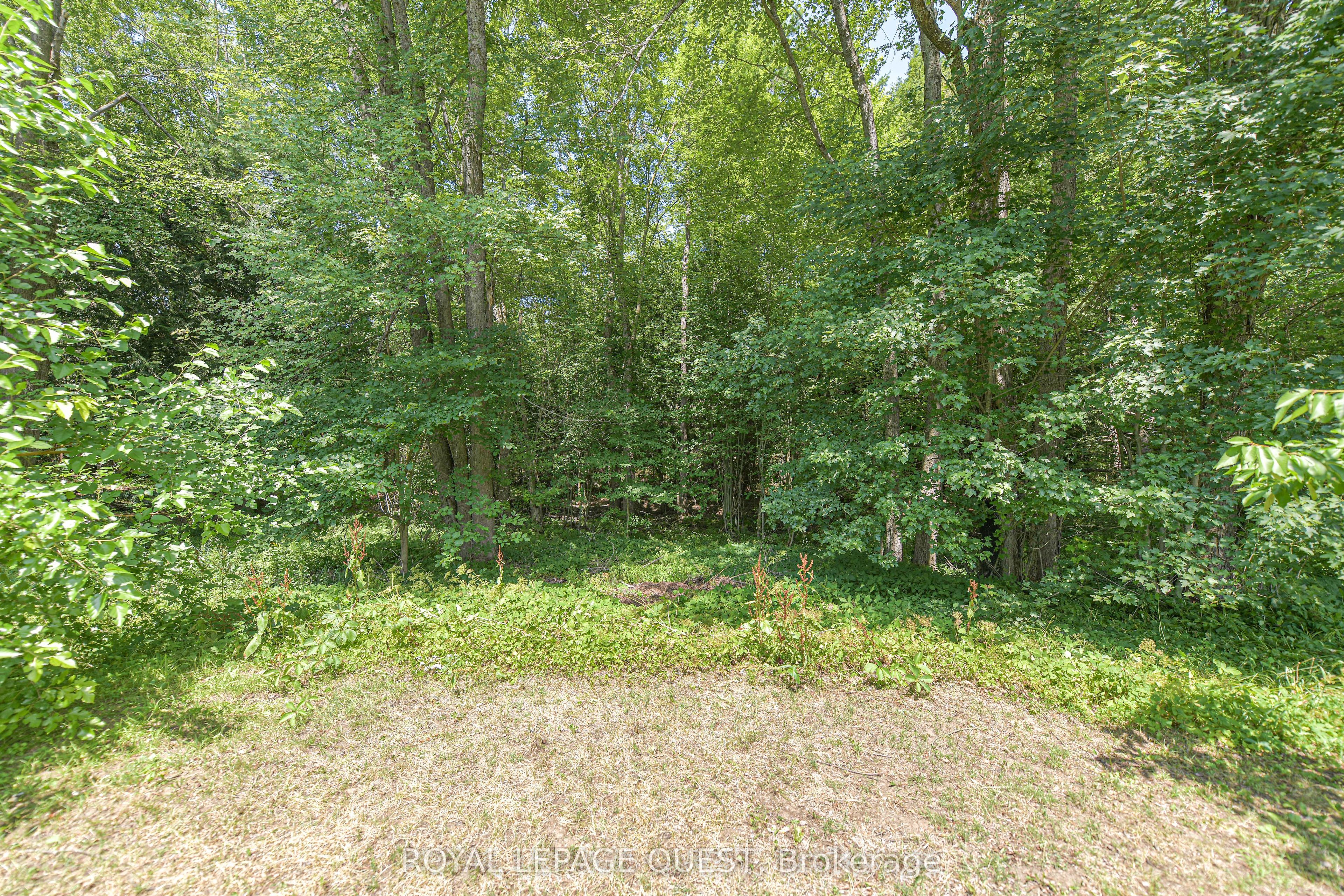 1046 Southwood Road, Gravenhurst, ON P0E 1N0 photo 4