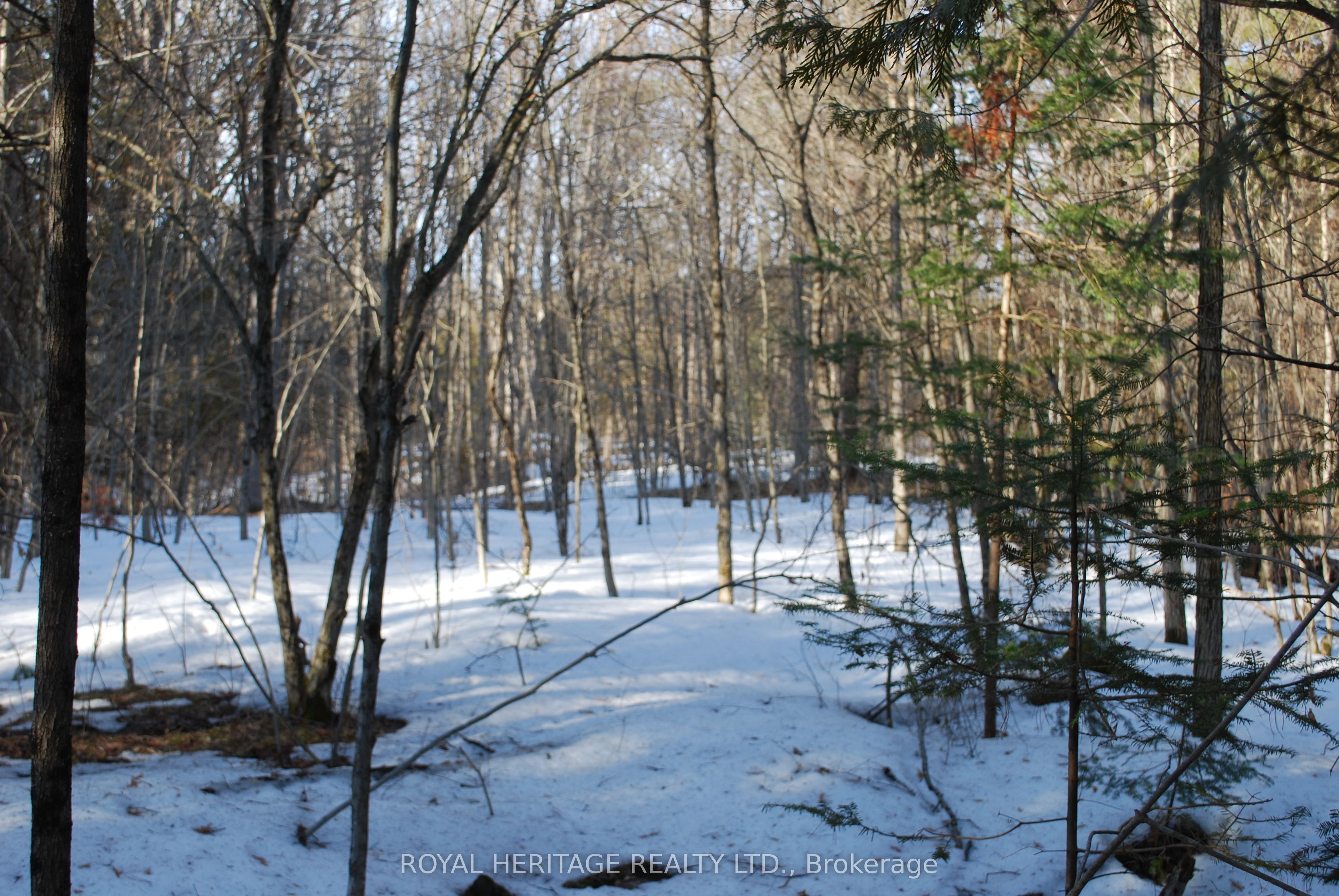 99 Future Lane, Stirling-Rawdon, ON K0K 2M0 photo 2