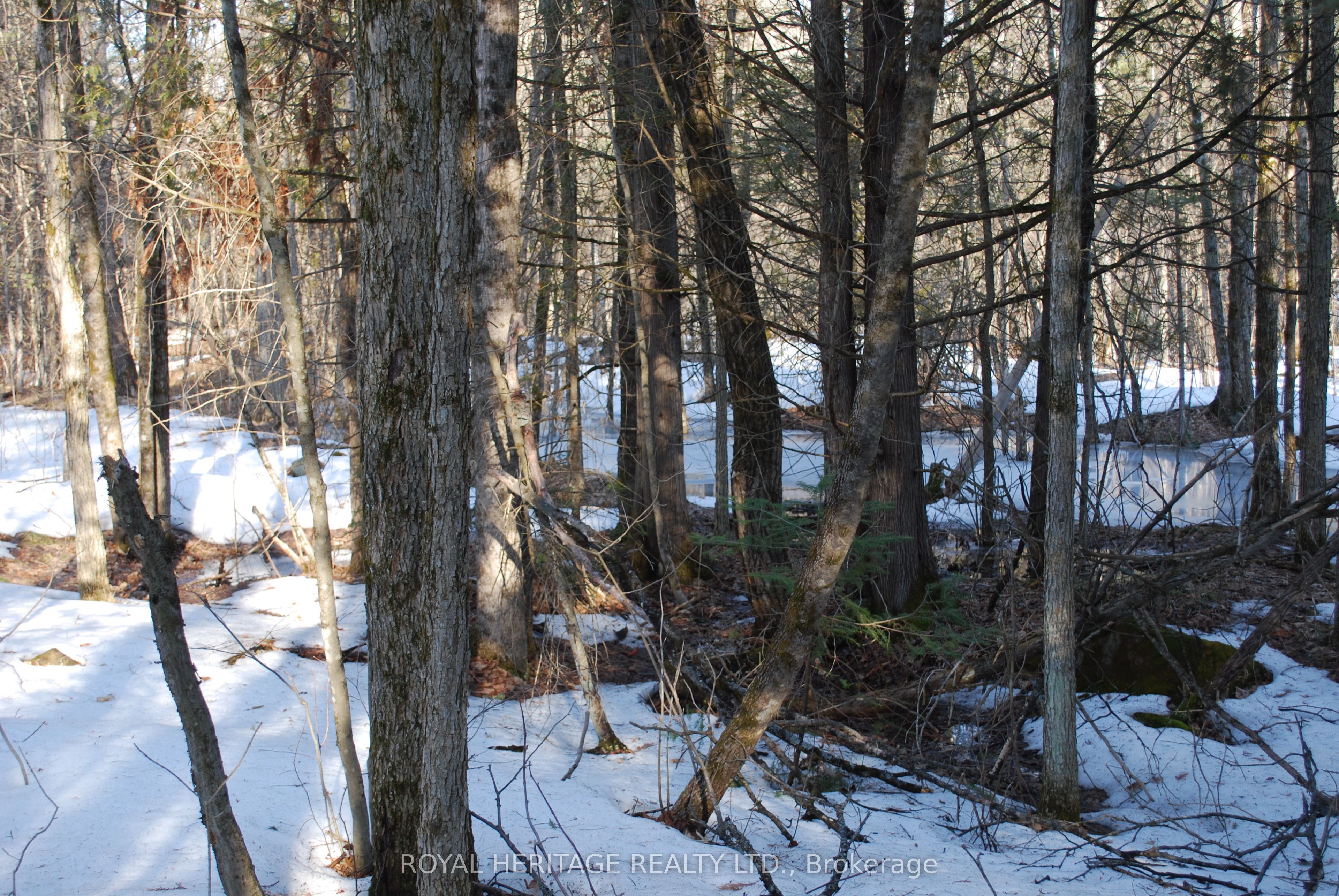 99 Future Lane, Stirling-Rawdon, ON K0K 2M0 photo 3