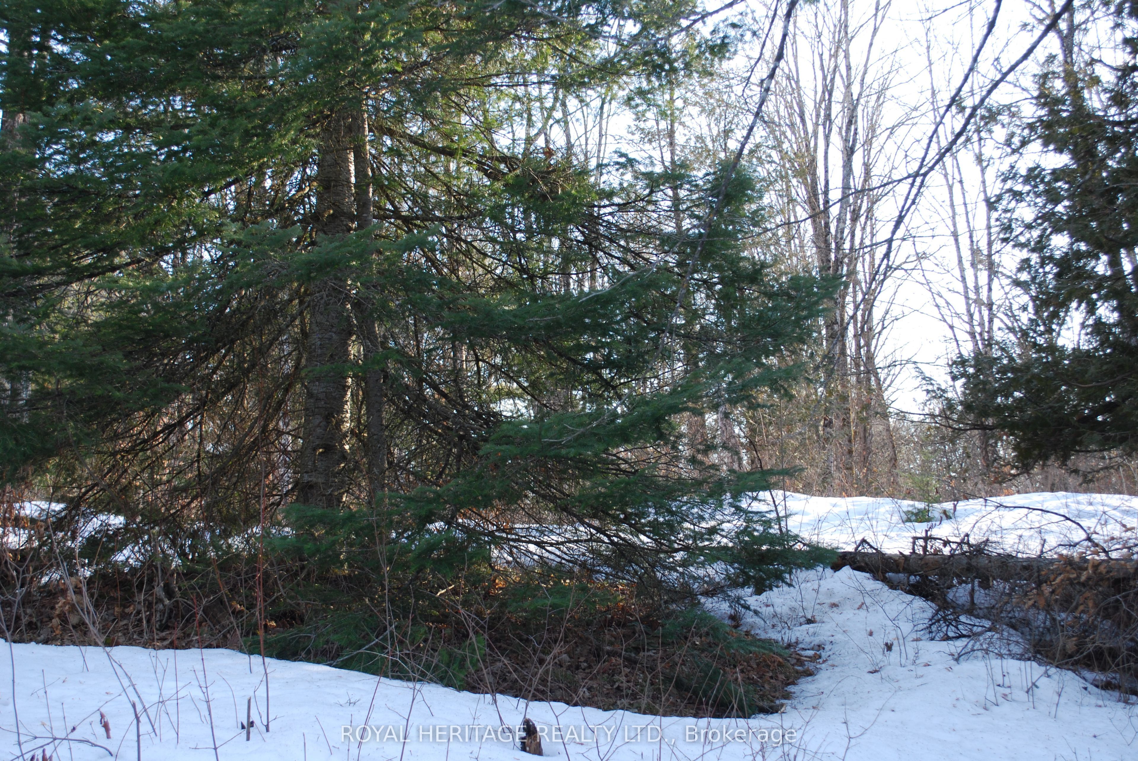 99 Future Lane, Stirling-Rawdon, ON K0K 2M0 photo 4