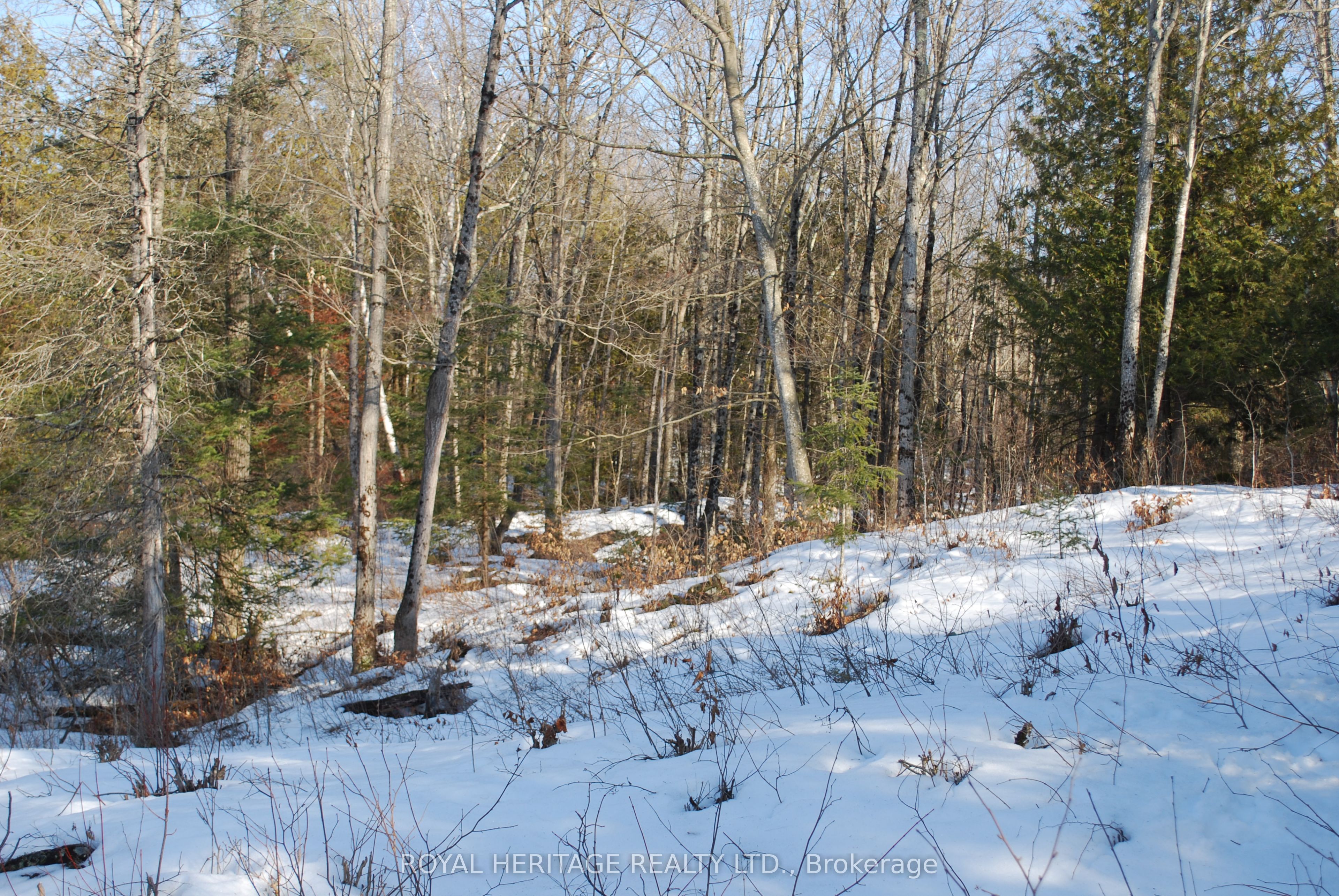 99 Future Lane, Stirling-Rawdon, ON K0K 2M0 photo 5