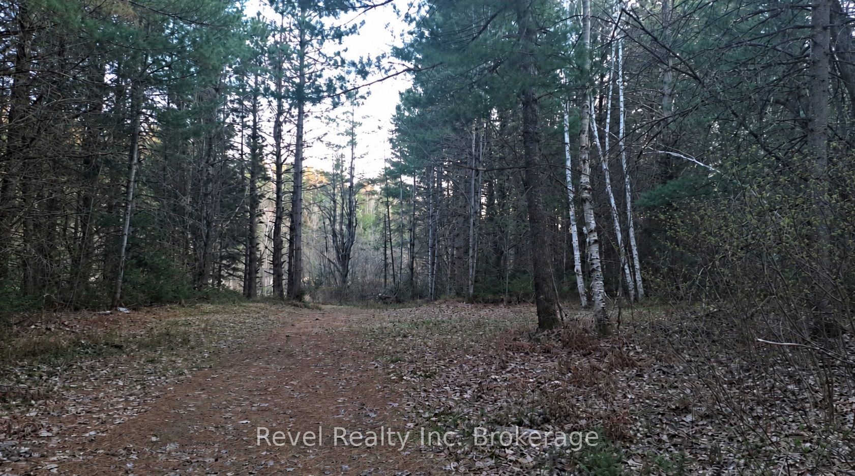 PCL 13895 SEC NIP; LT 5 17 E Highway, Papineau-Cameron, ON P0H 1V0 photo 4