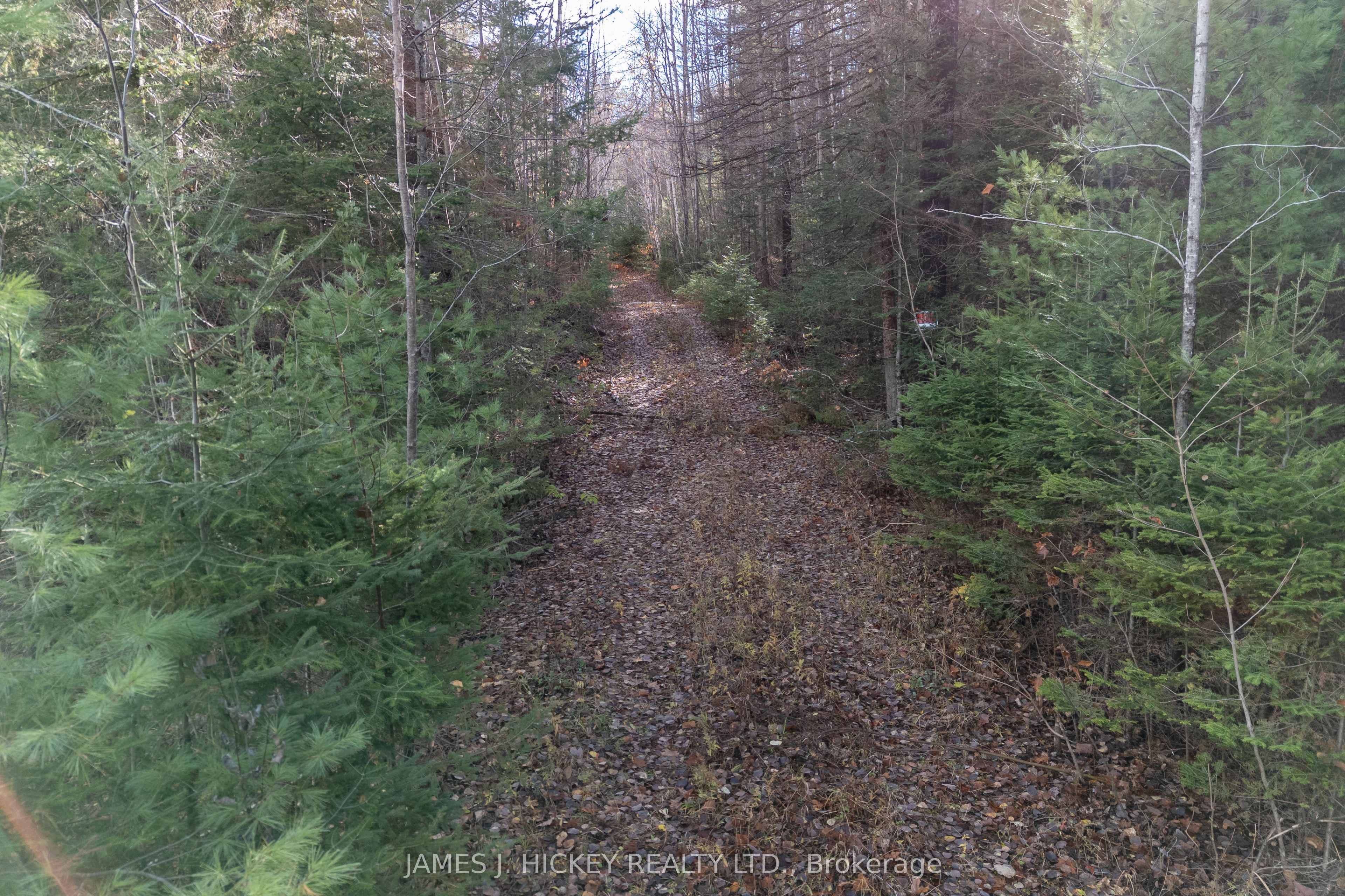0 Hwy 17 Highway, Laurentian Hills, ON K0J 1P0 photo 2