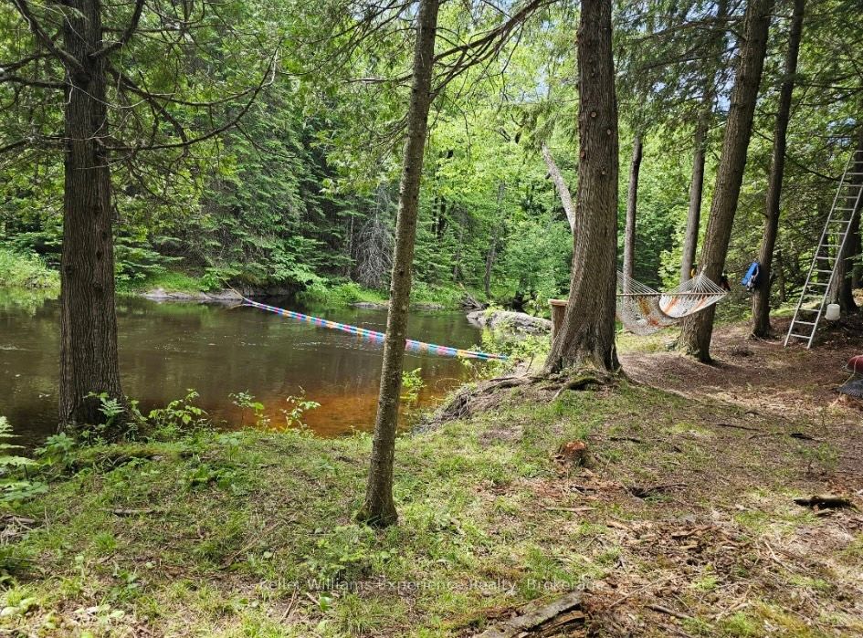 31 Digby Laxton Boundary Road, Kawartha Lakes, ON K0M 2B0 photo 5