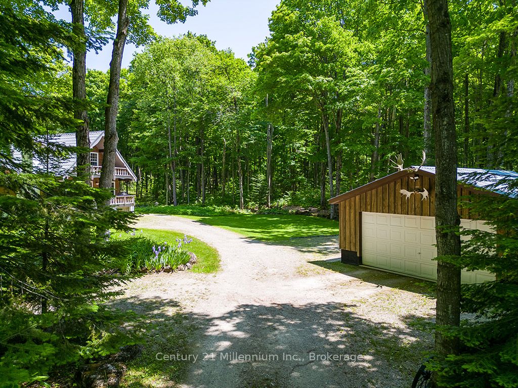 495115 Grey 2 Road, Blue Mountains, ON N0H 2E0 photo 3