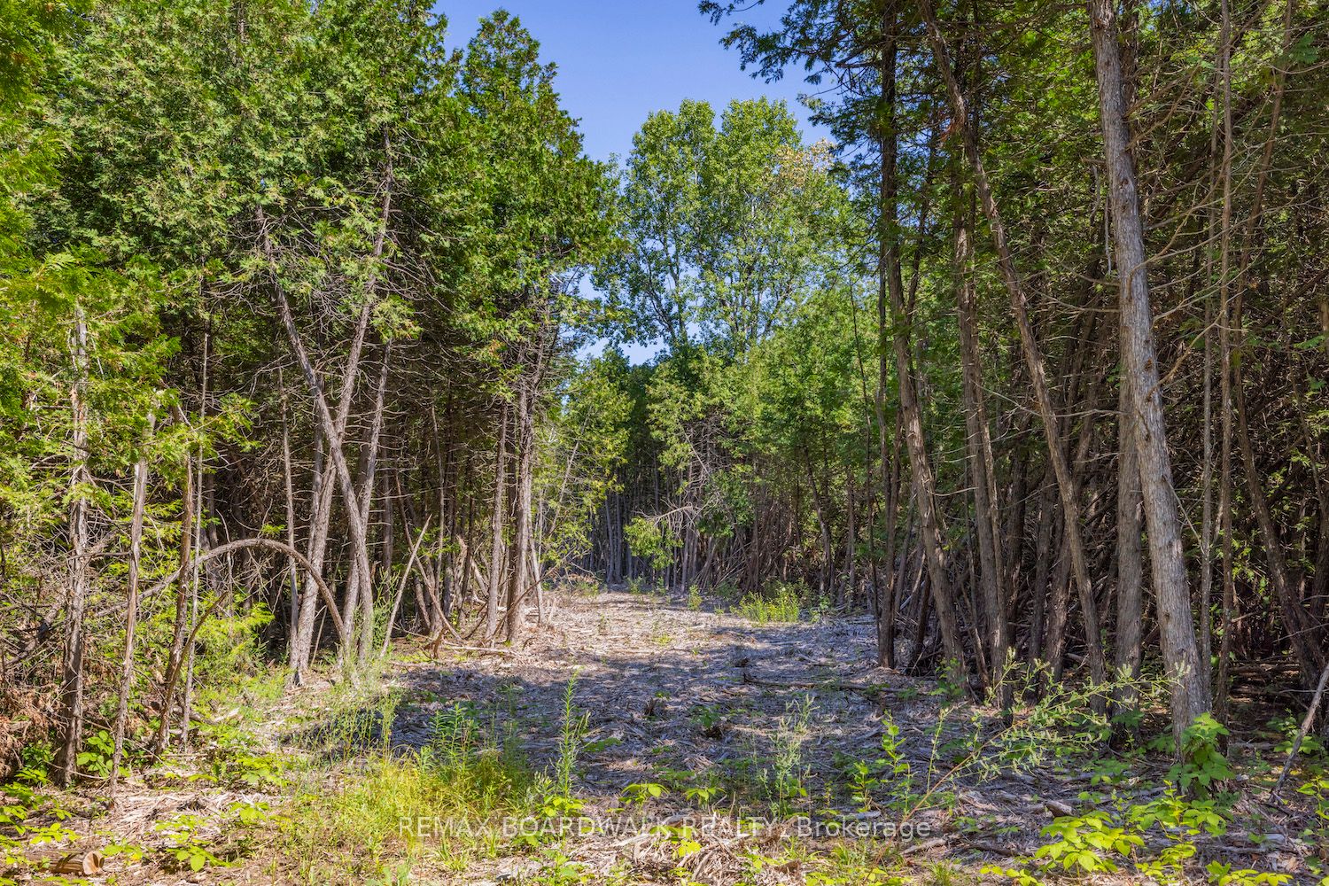 0 Forbes Road, North Grenville, ON K0G 1N0 photo 2