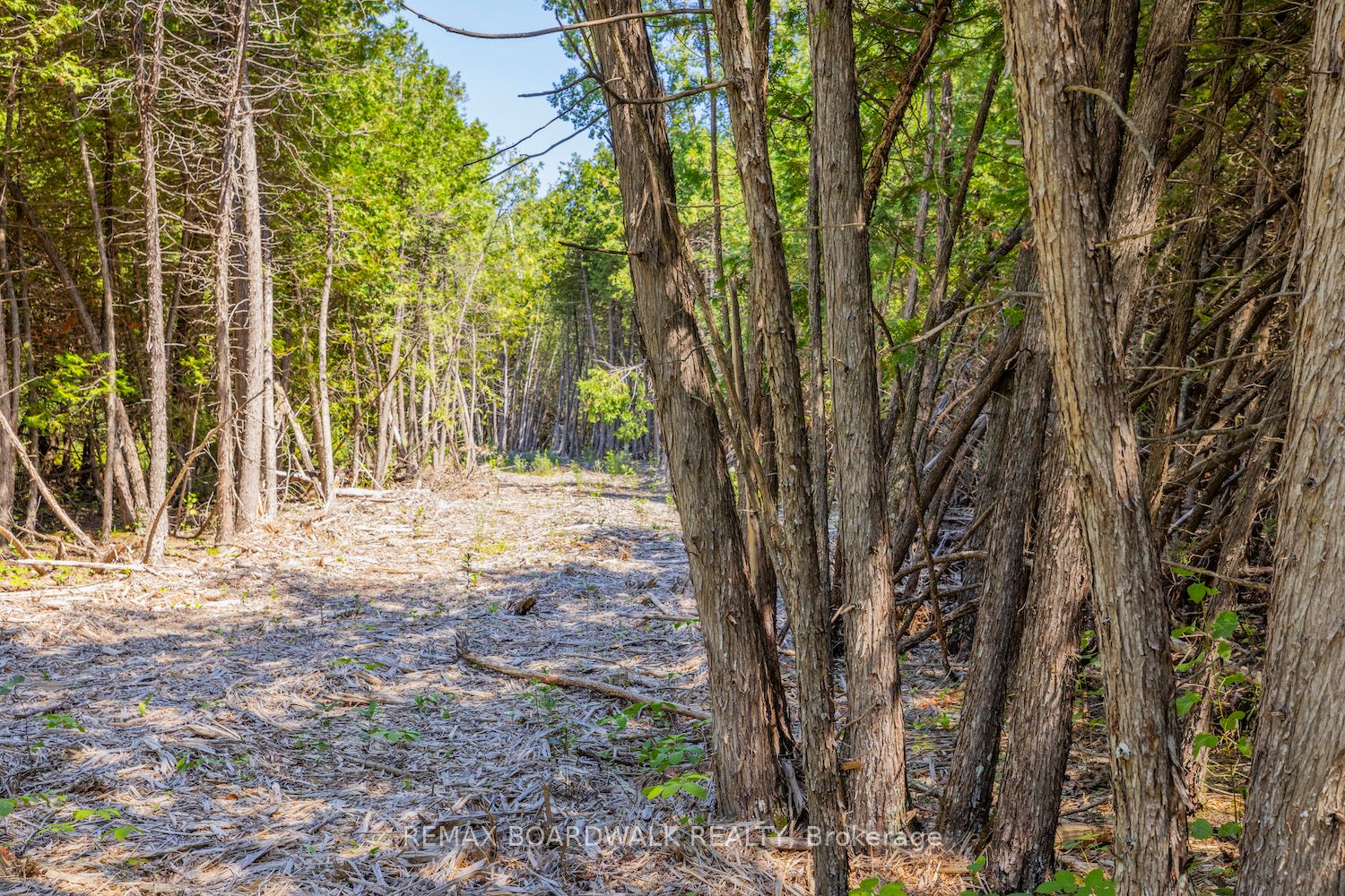 0 Forbes Road, North Grenville, ON K0G 1N0 photo 4