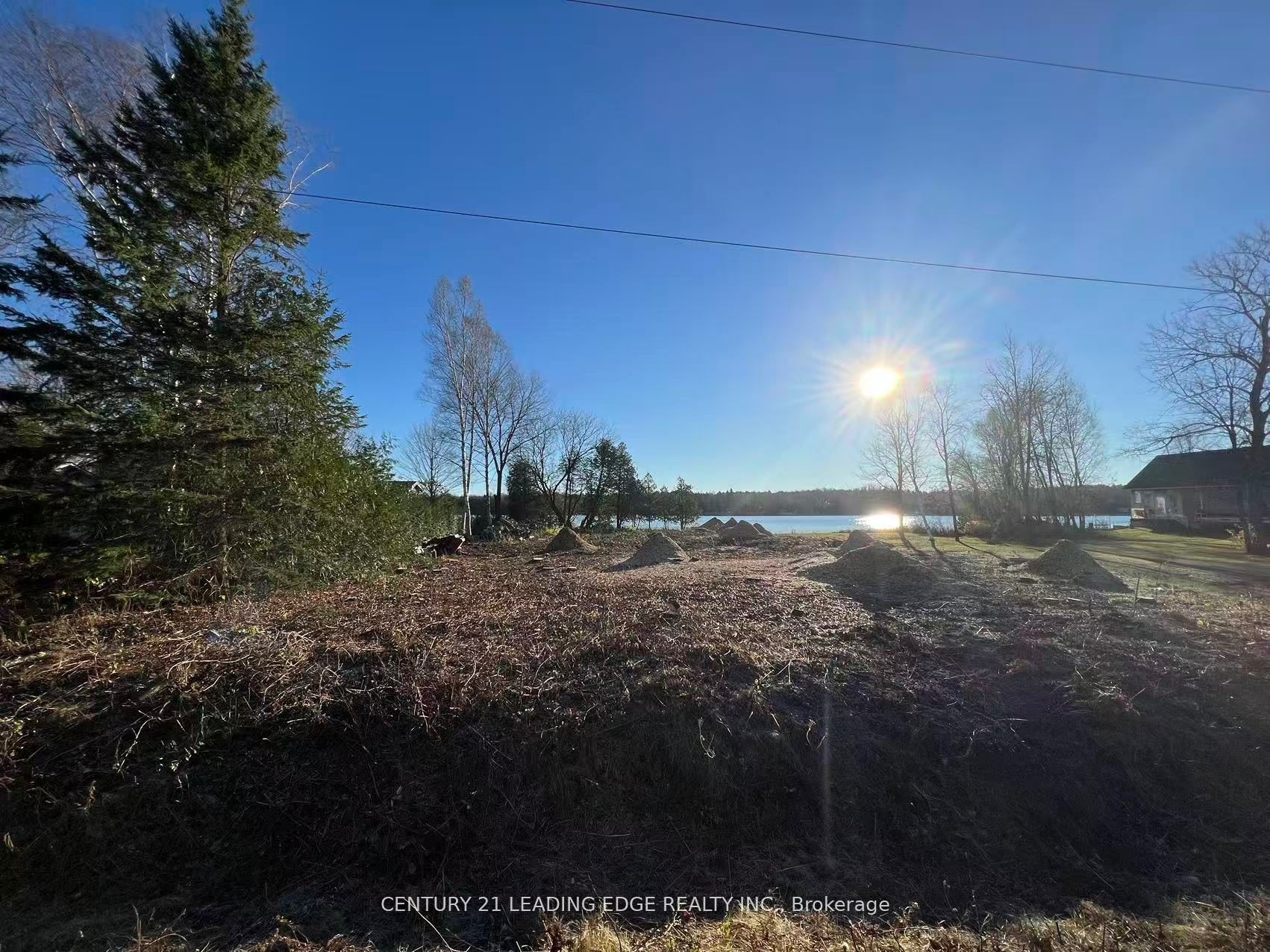 60 Greenwood Crescent, Kawartha Lakes, ON K0M 2T0
