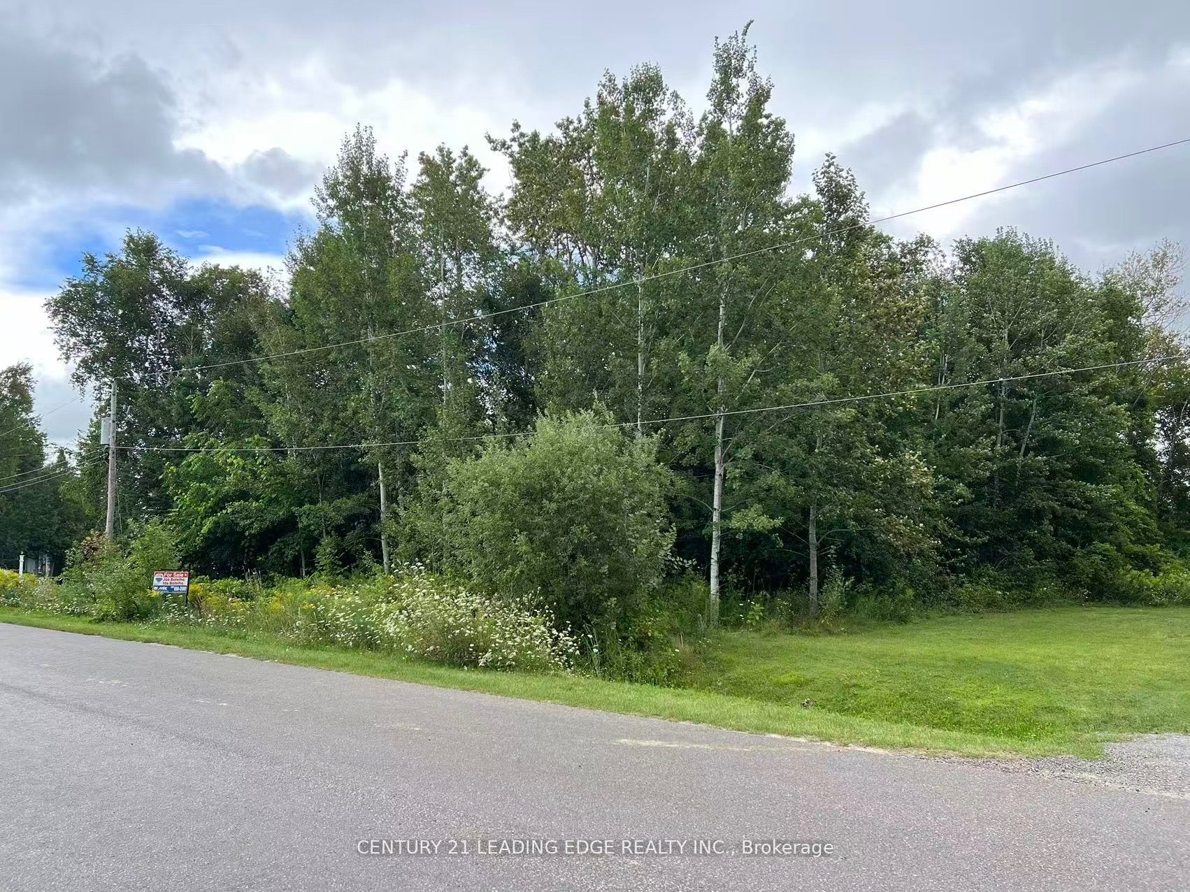 60 Greenwood Crescent, Kawartha Lakes, ON K0M 2T0 photo 2