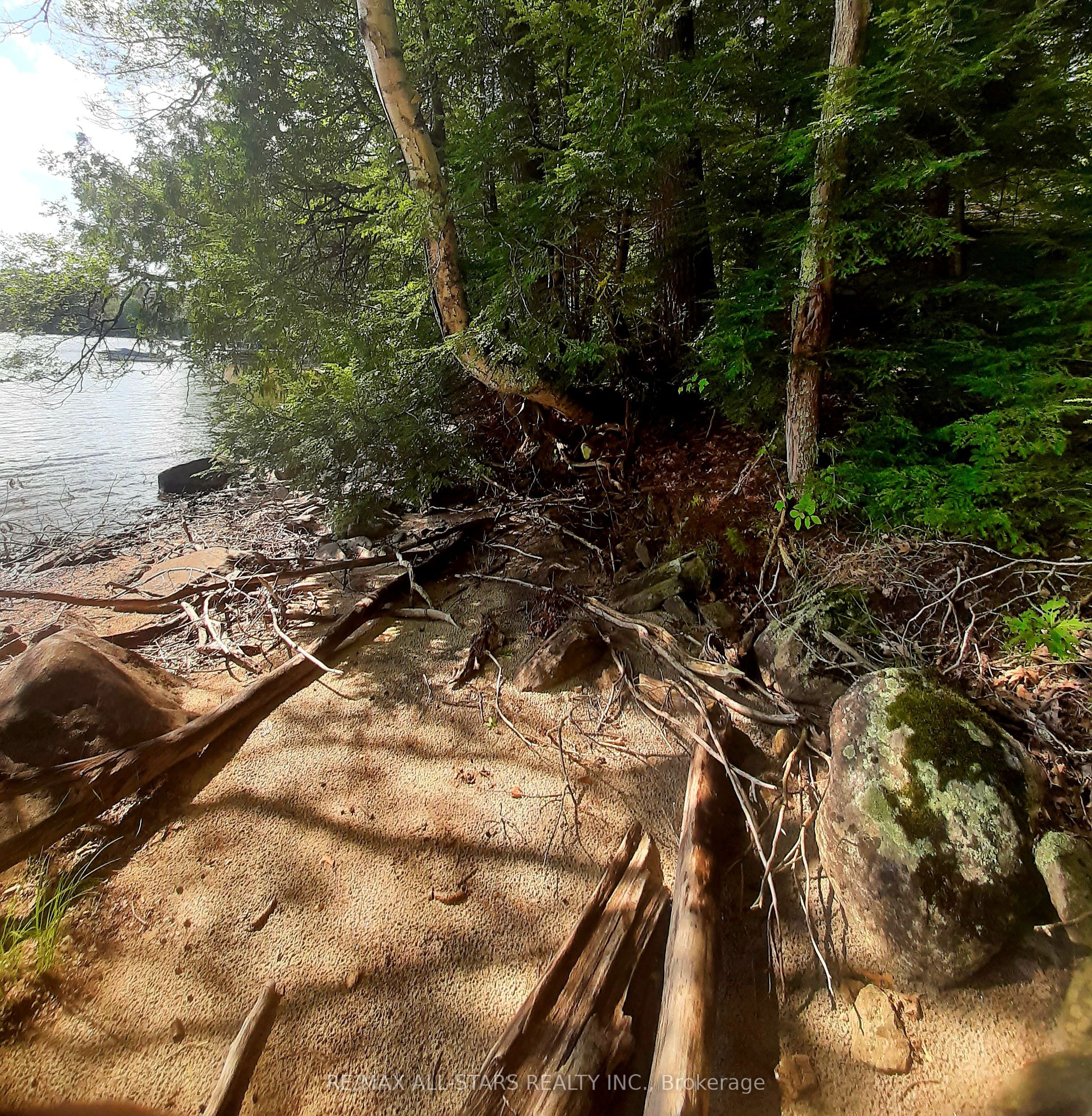 0 Fire Route 267, Trent Lakes, ON K0L 1J0 photo 3