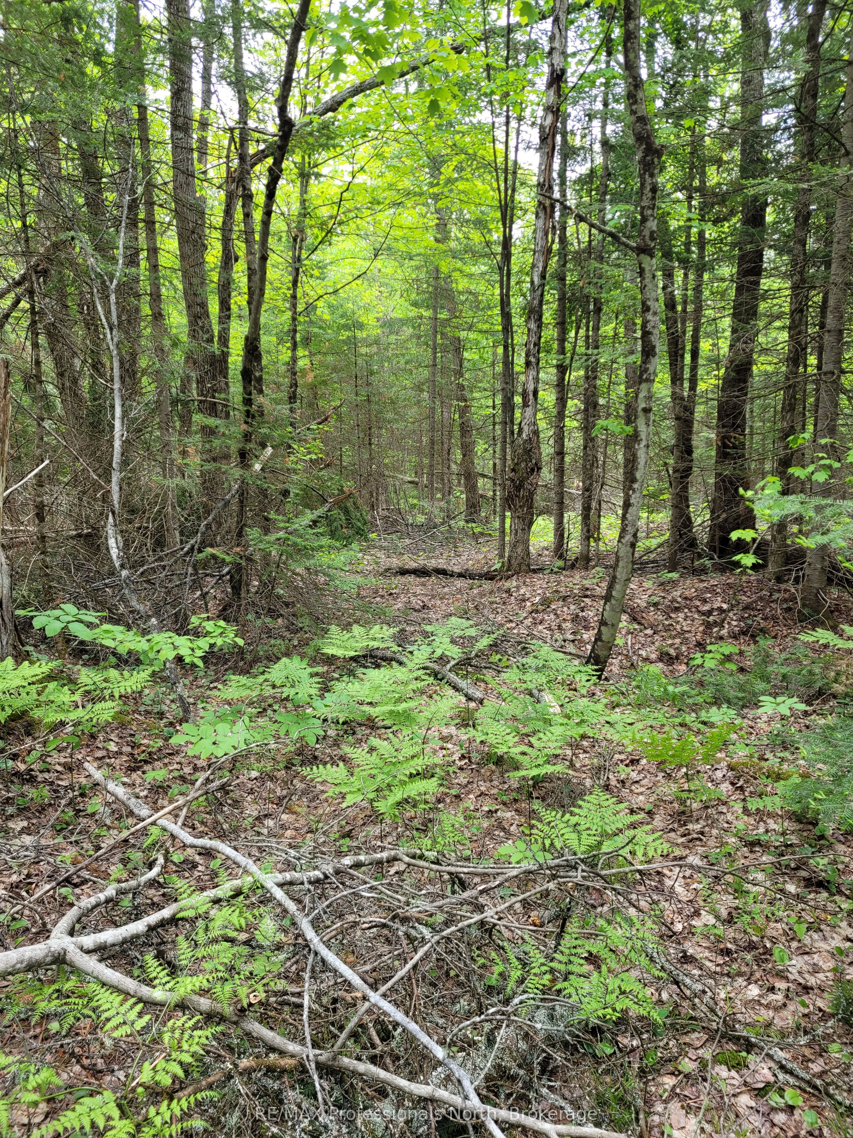 TBD Gelert Road, Minden Hills, ON K0M 2K0 photo 3