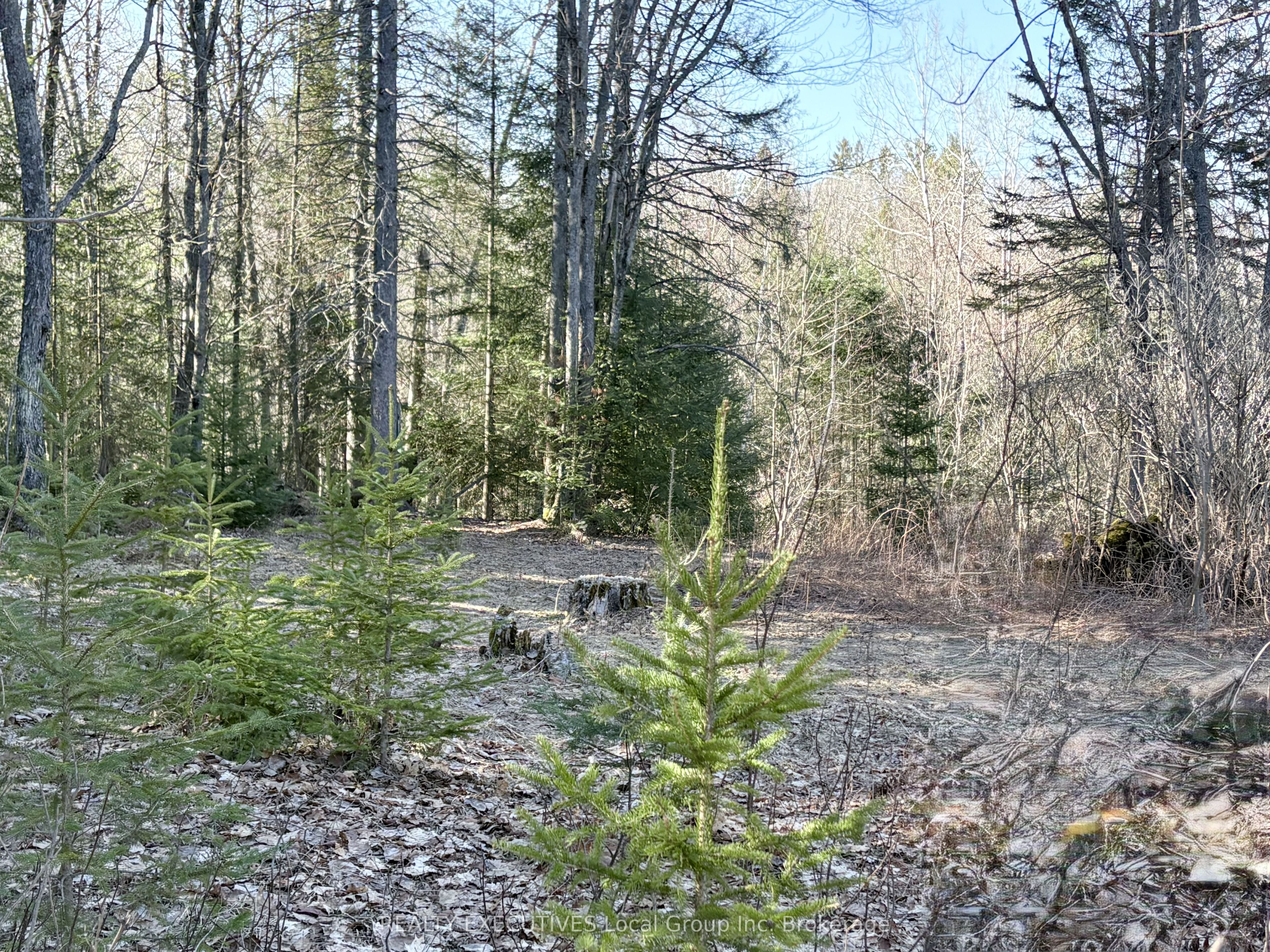 30 Peever Line, Powassan, ON P0H 1Z0 photo 5