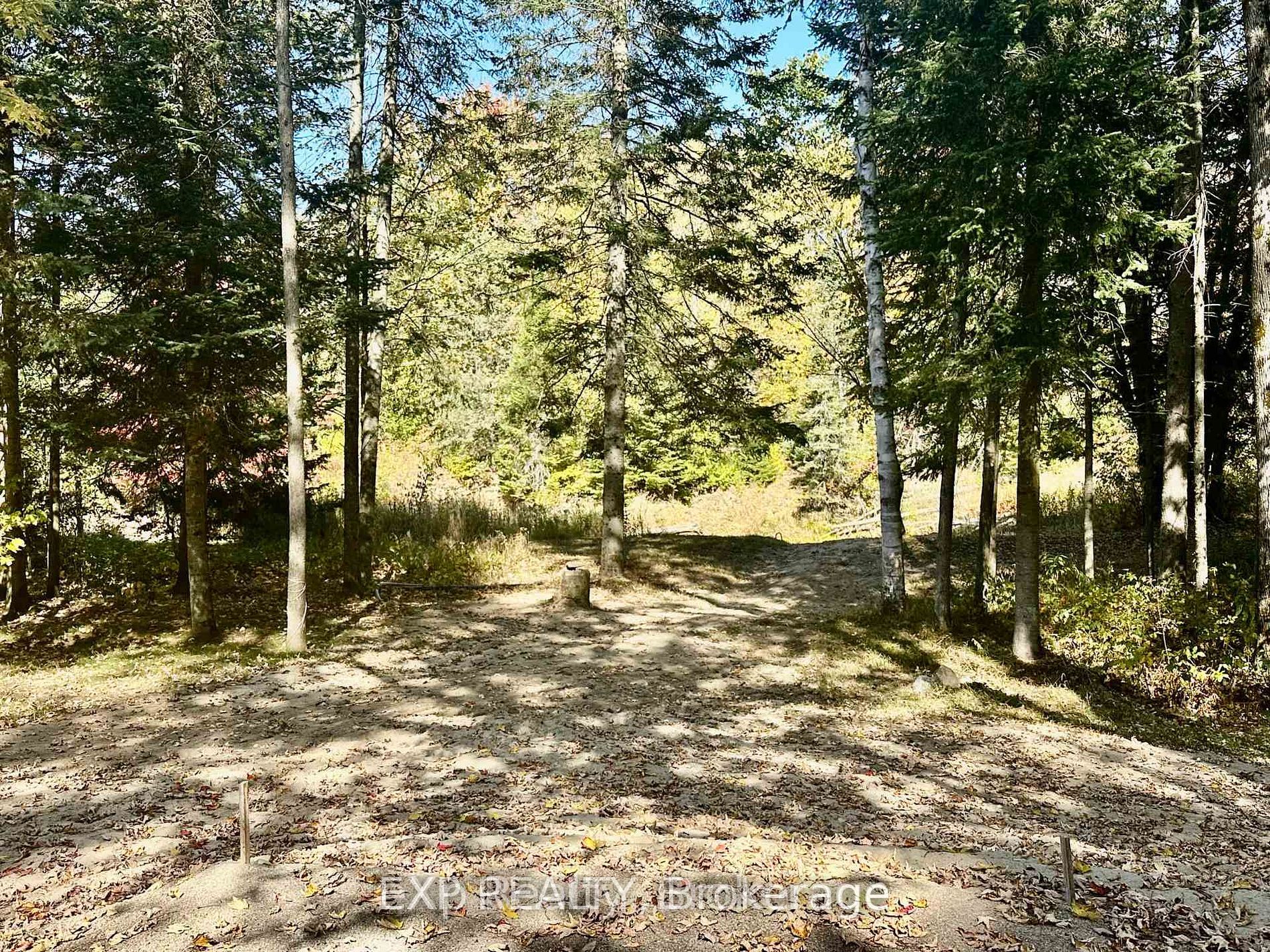 61 Robert Road W, Huntsville, ON P1H 1L4 photo 5