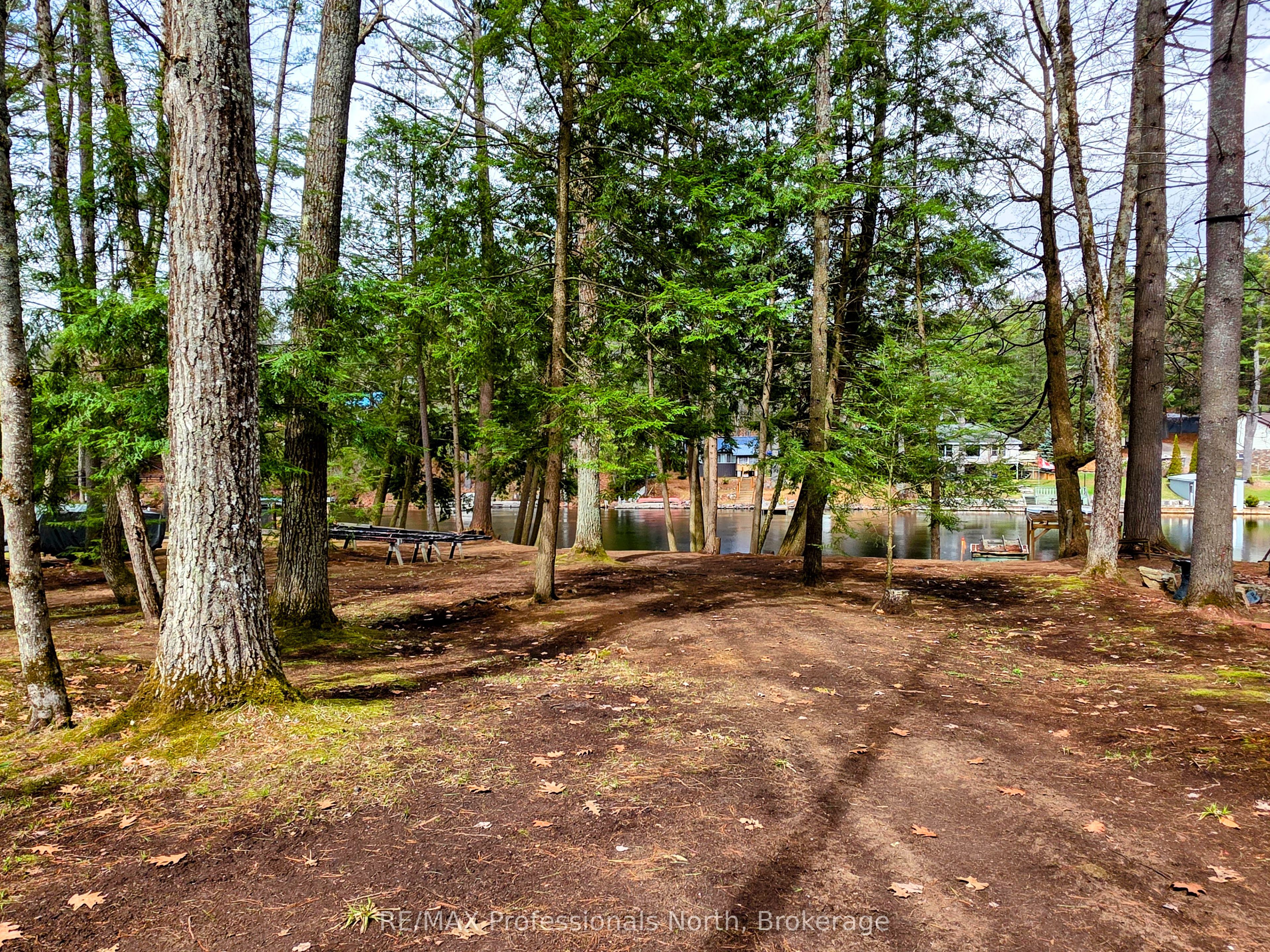 0 Mission Drive, Minden Hills, ON K0M 2K0 photo 3