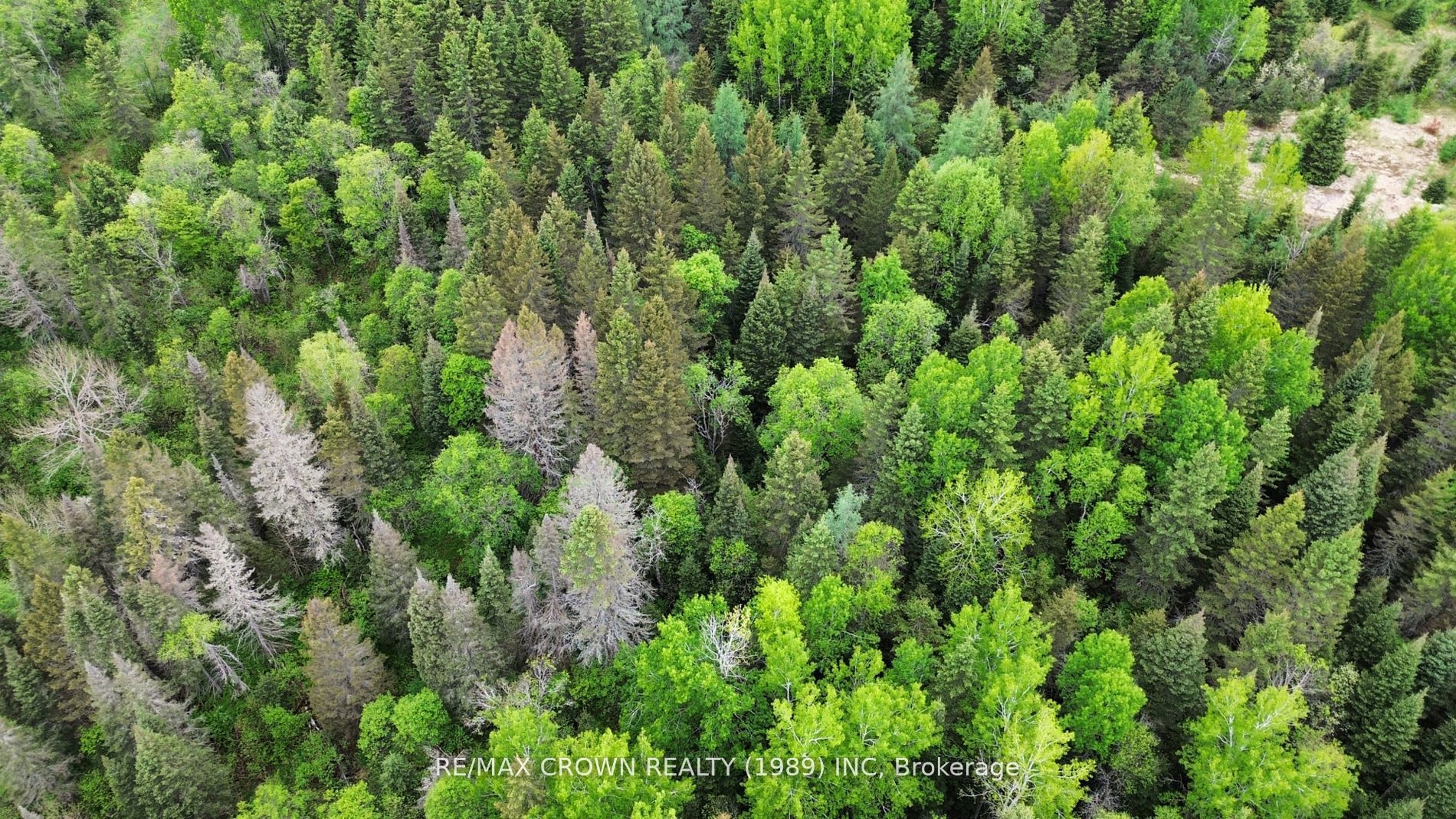 Lot 29 CON 2 Part 3 Grand Desert Road, Bonfield, ON P0H 2E0 photo 4