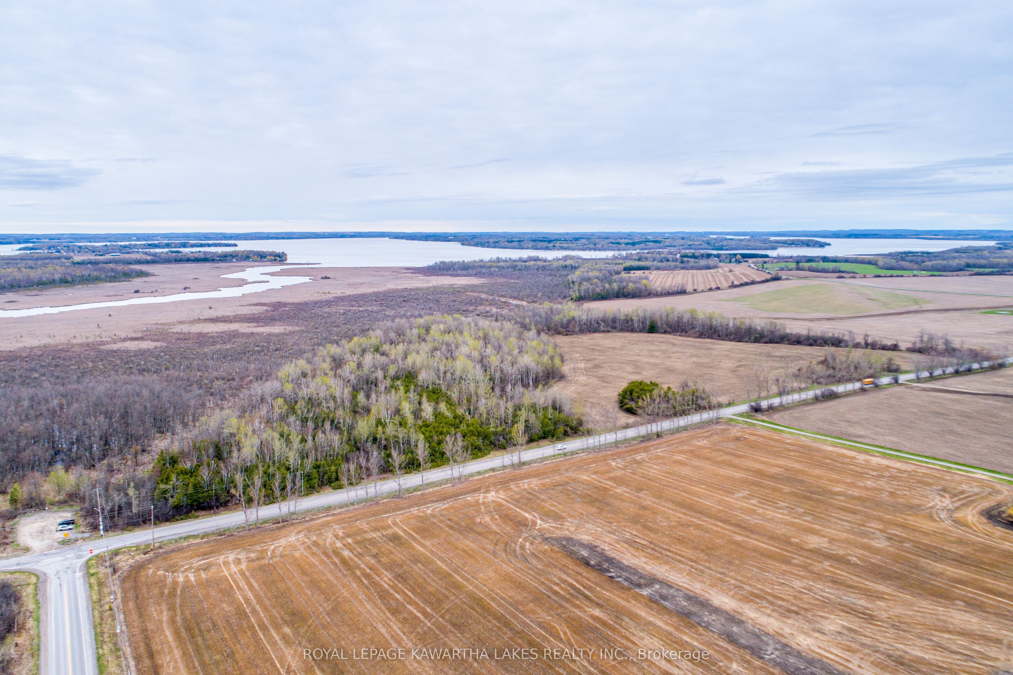 890 Ramsey Road, Kawartha Lakes, ON K0M 2C0 photo 2