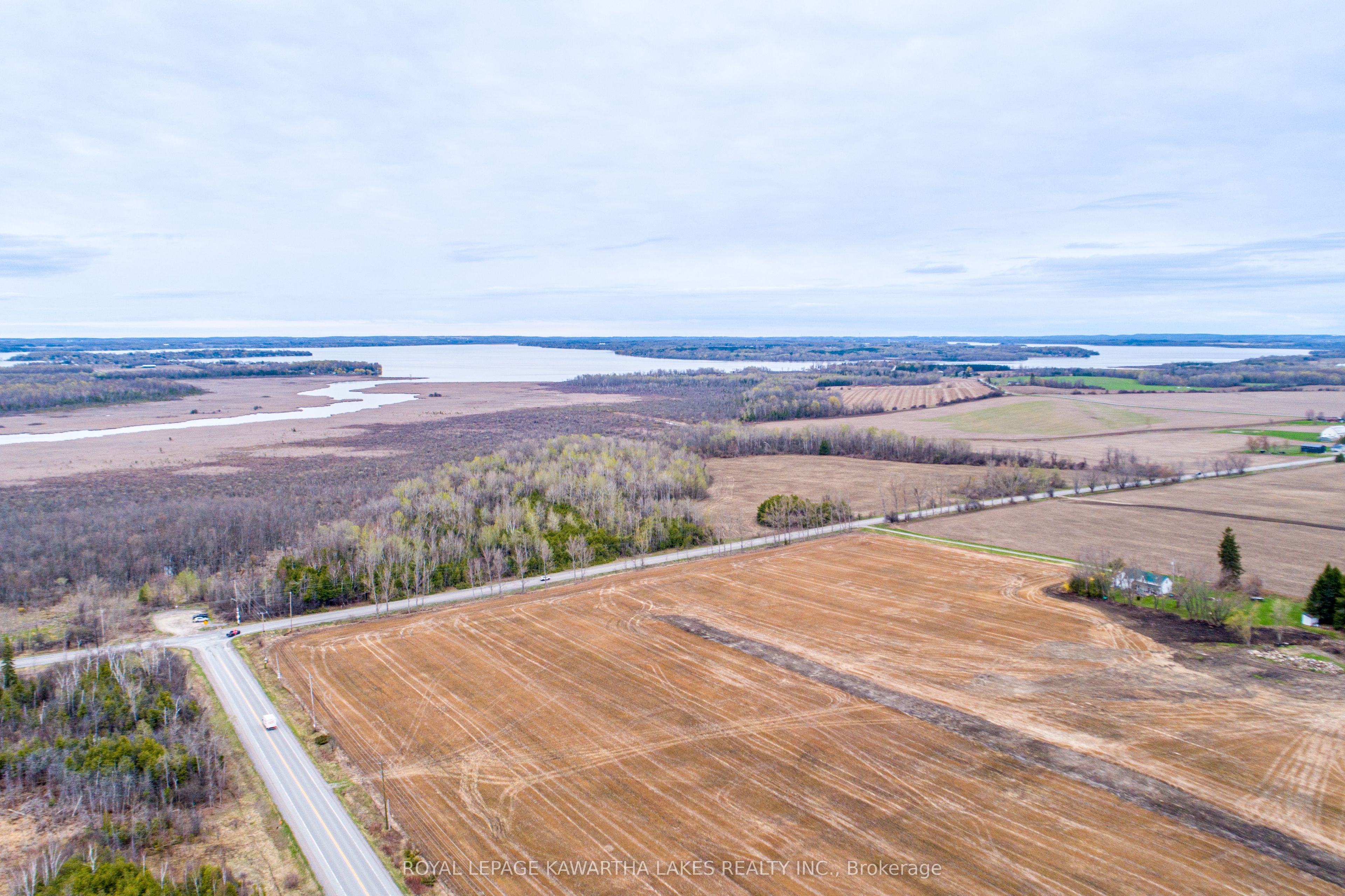 890 Ramsey Road, Kawartha Lakes, ON K0M 2C0 photo 3