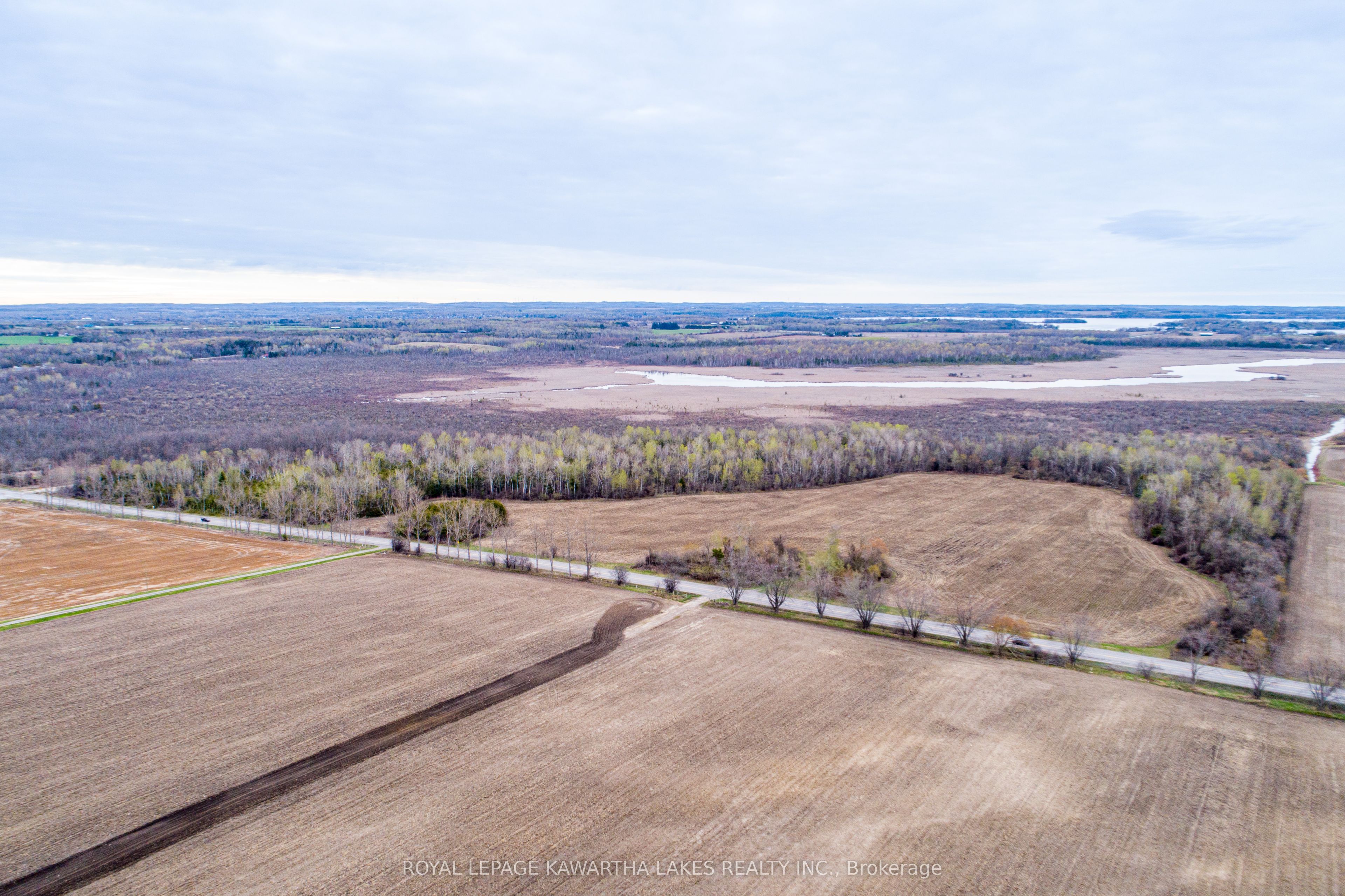 890 Ramsey Road, Kawartha Lakes, ON K0M 2C0 photo 4