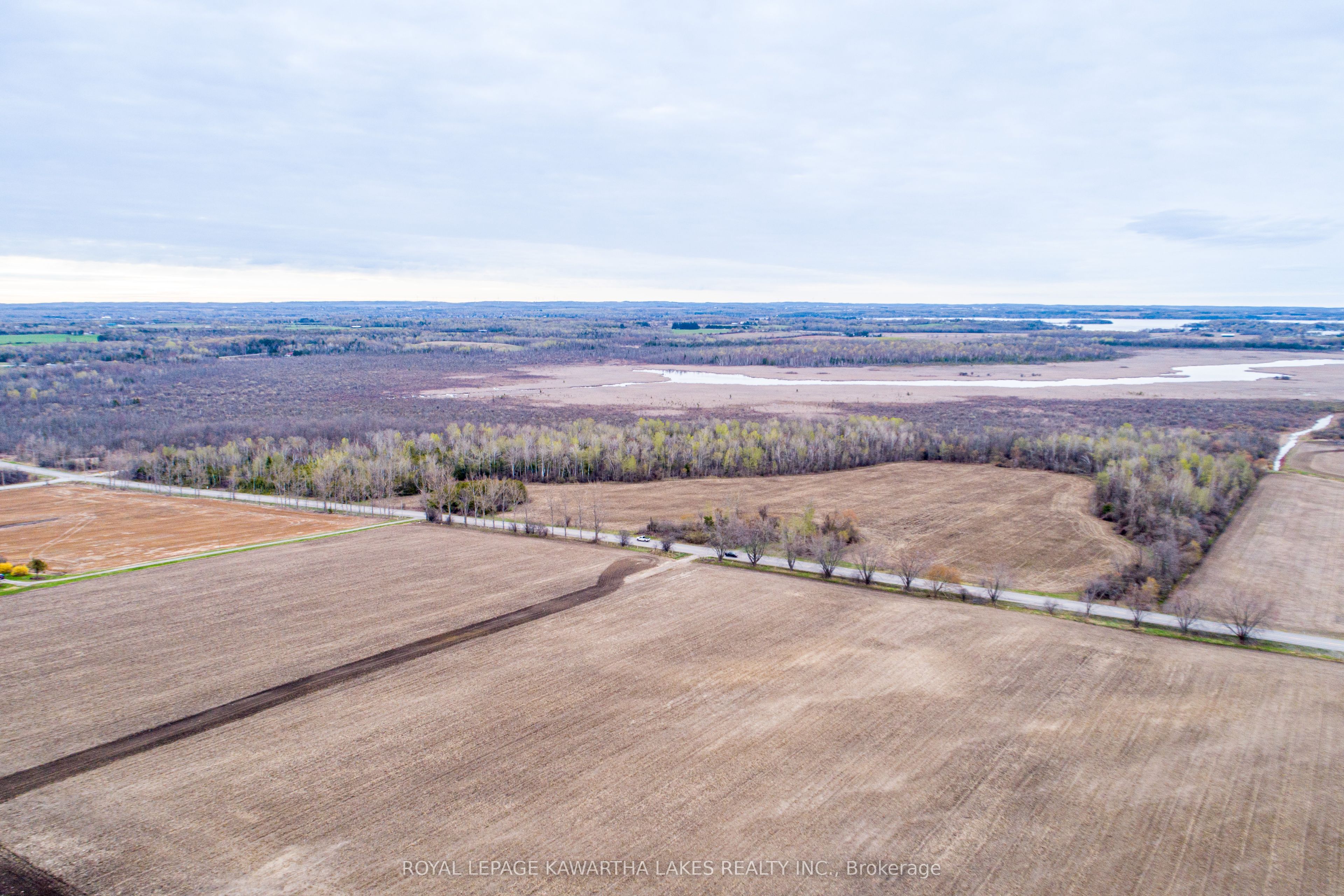 890 Ramsey Road, Kawartha Lakes, ON K0M 2C0 photo 5